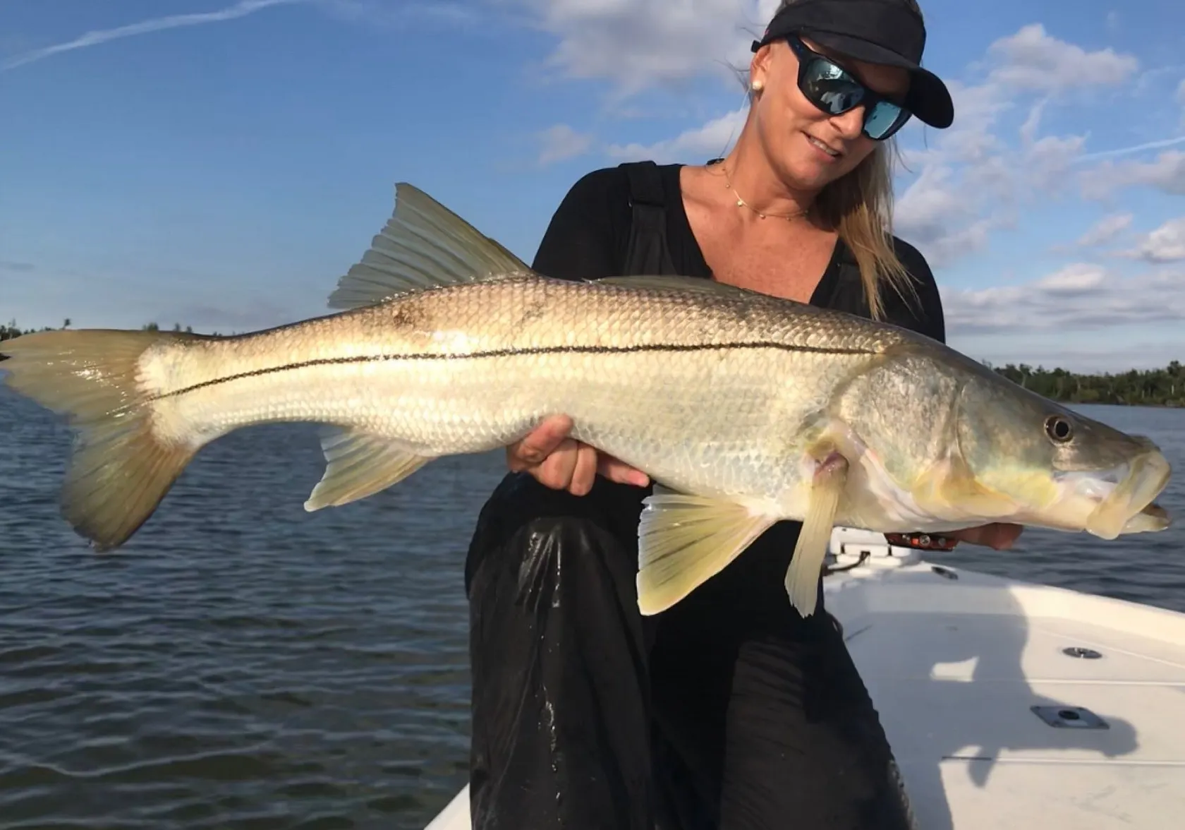 Common snook