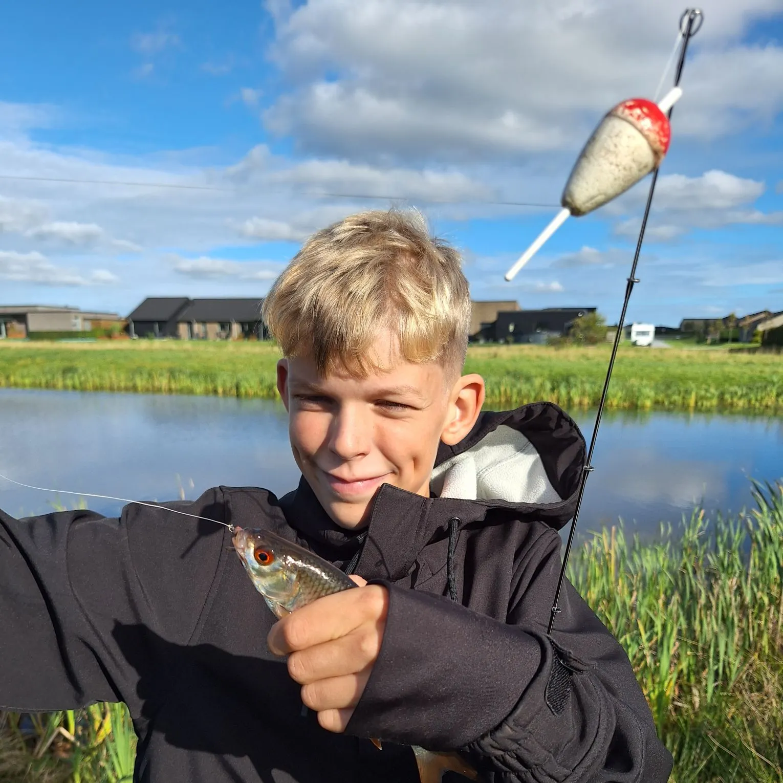 Common roach caught on Fishbrain