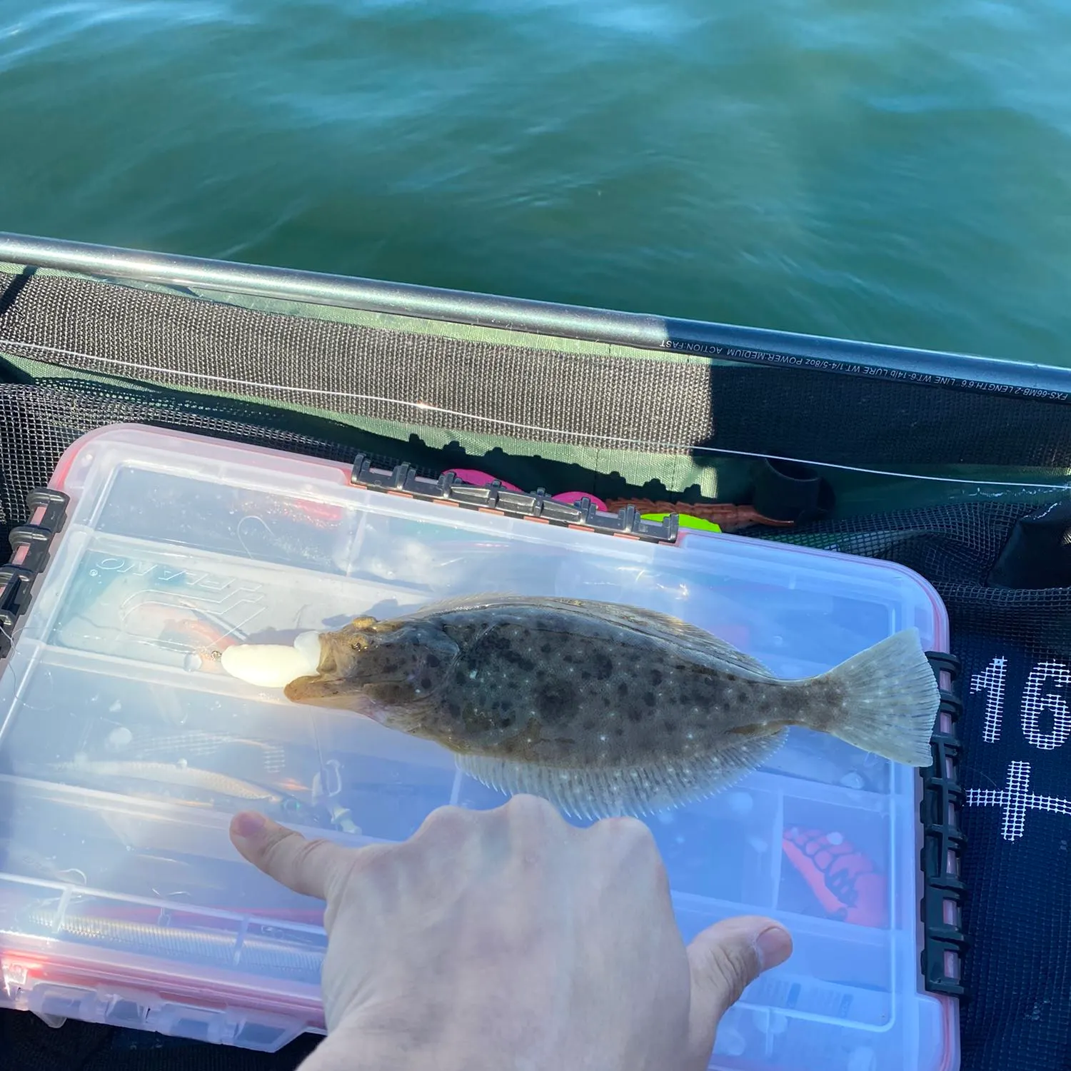 angler catch