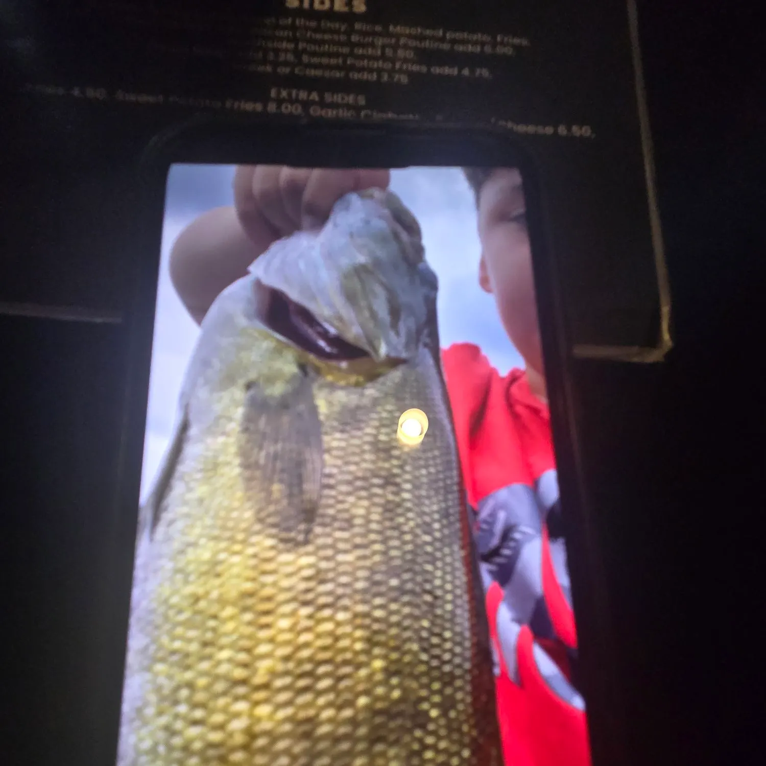 recently logged catches