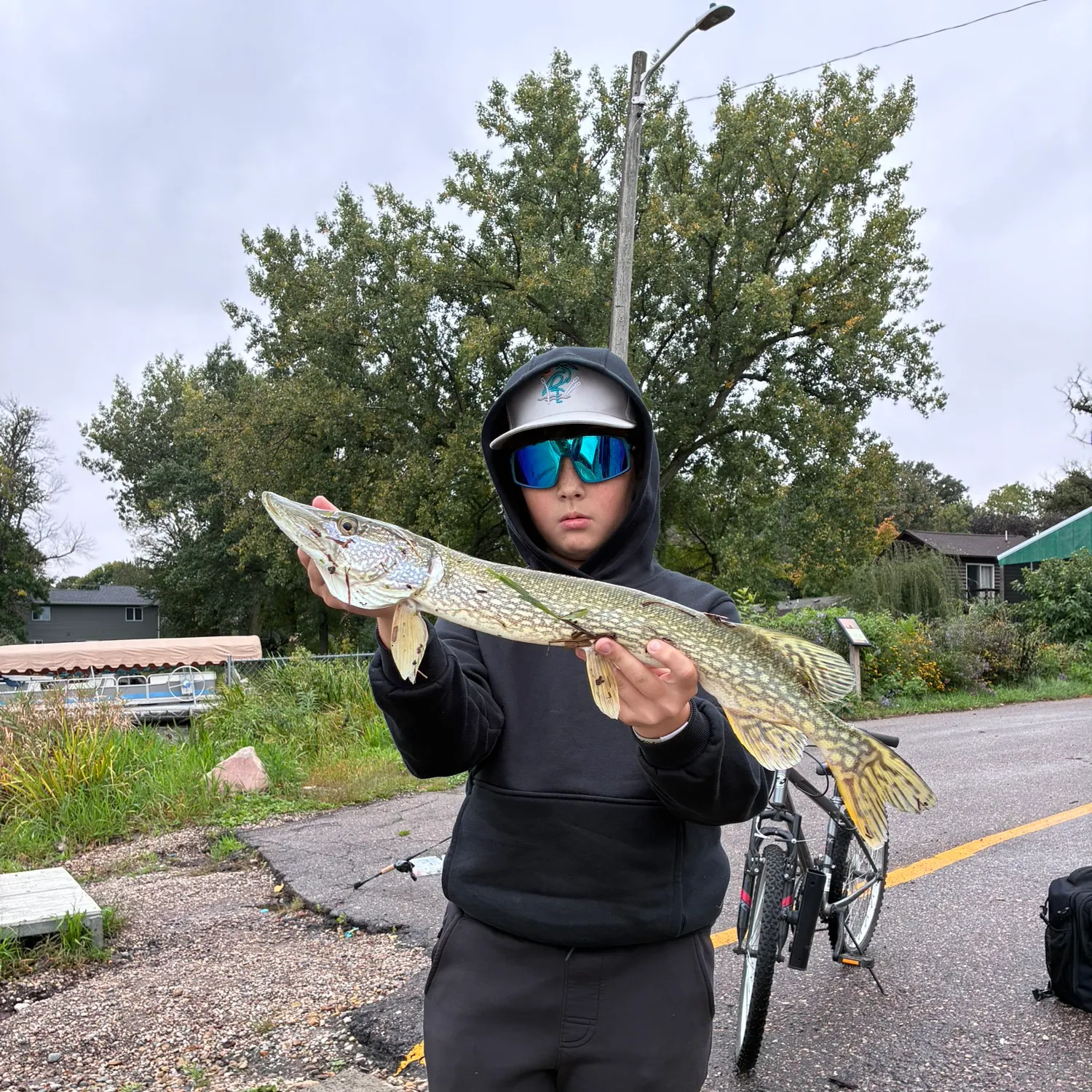 Northern pike caught on Fishbrain