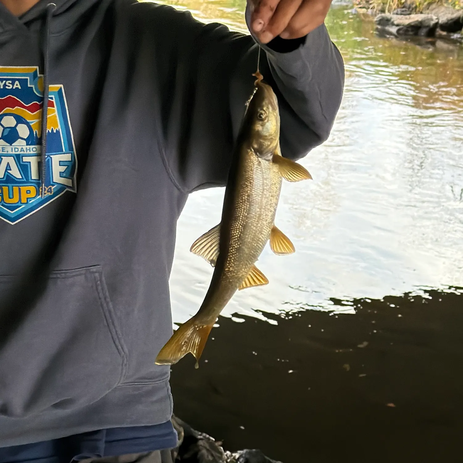Northern pikeminnow caught on Fishbrain