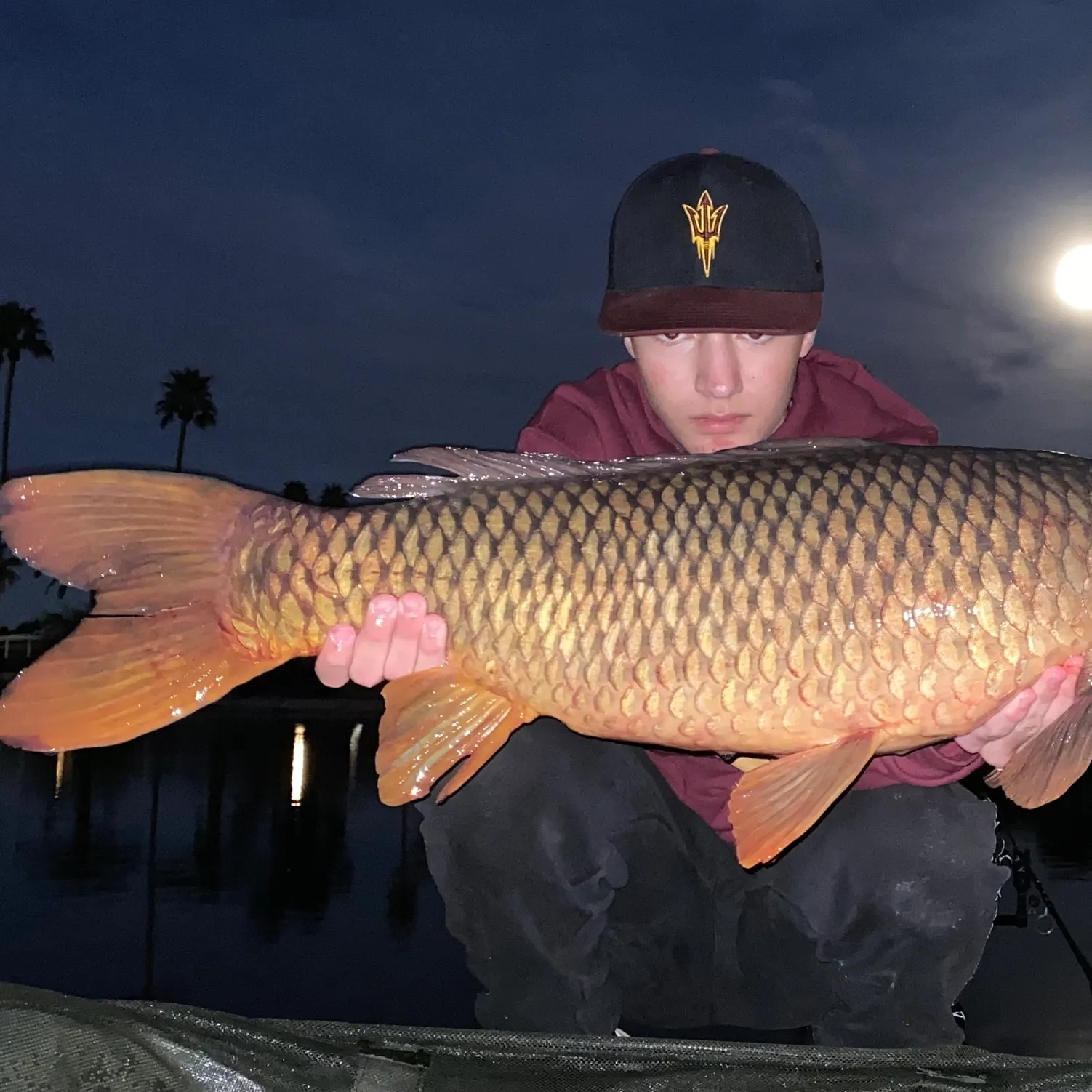 The most recent Common carp catches on Fishbrain