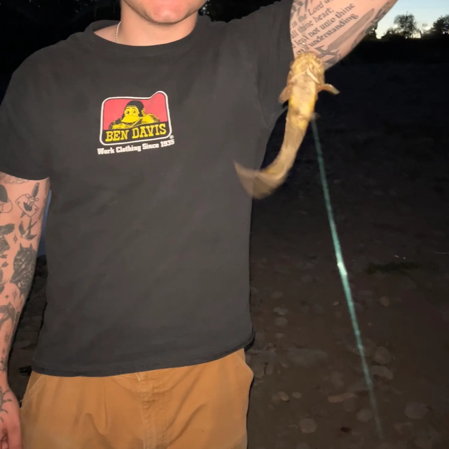 Yellow bullhead caught on Fishbrain