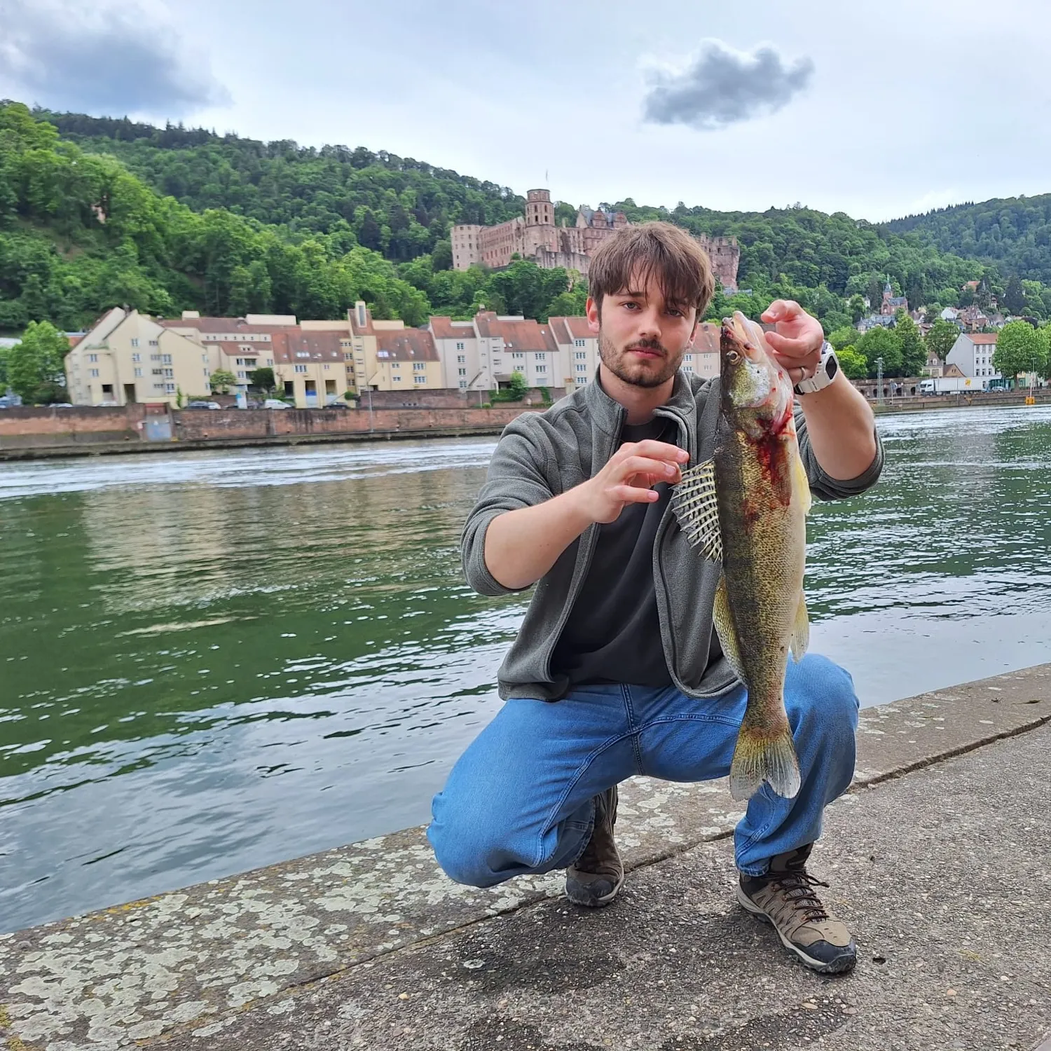 Zander caught on Fishbrain