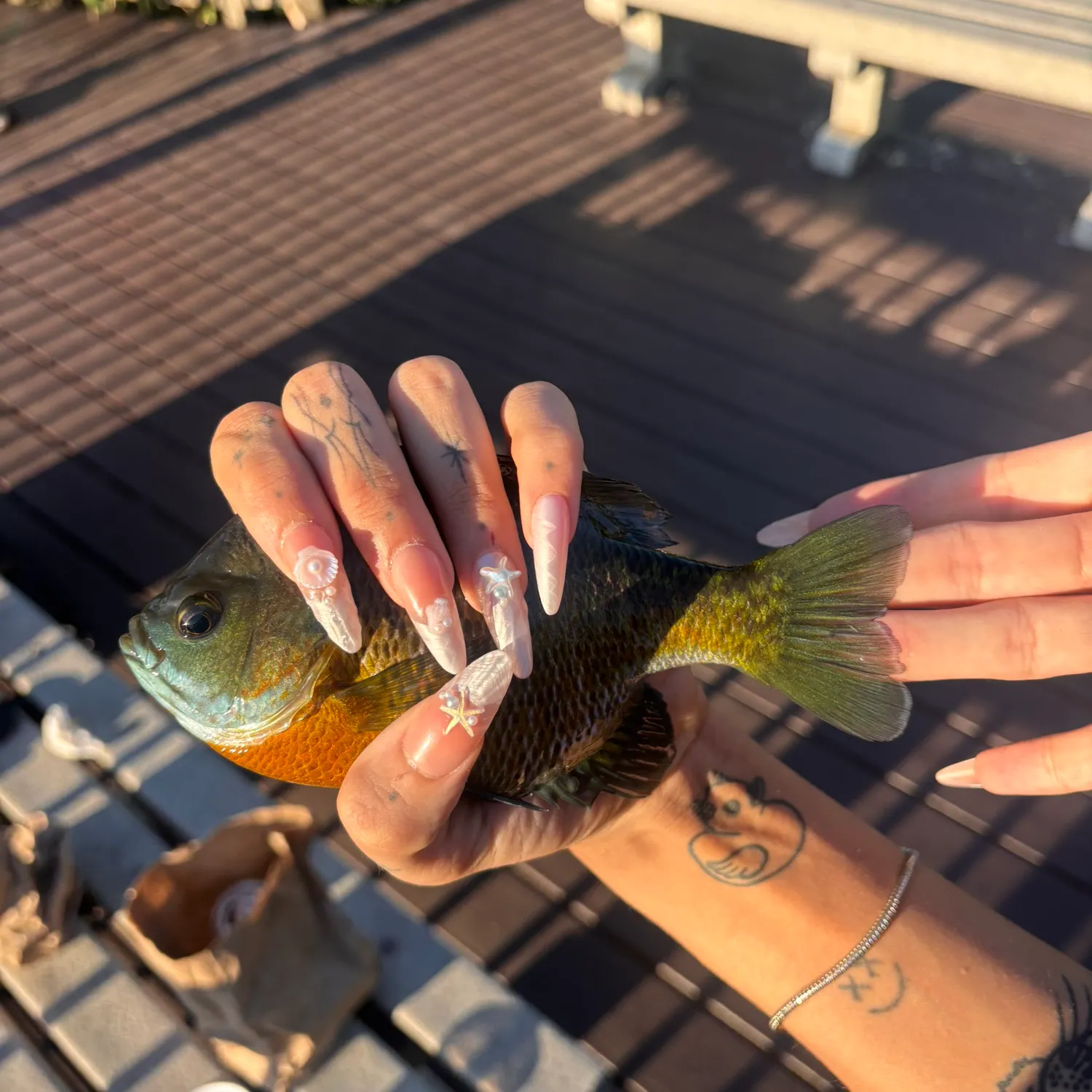 Bluegill caught on Fishbrain