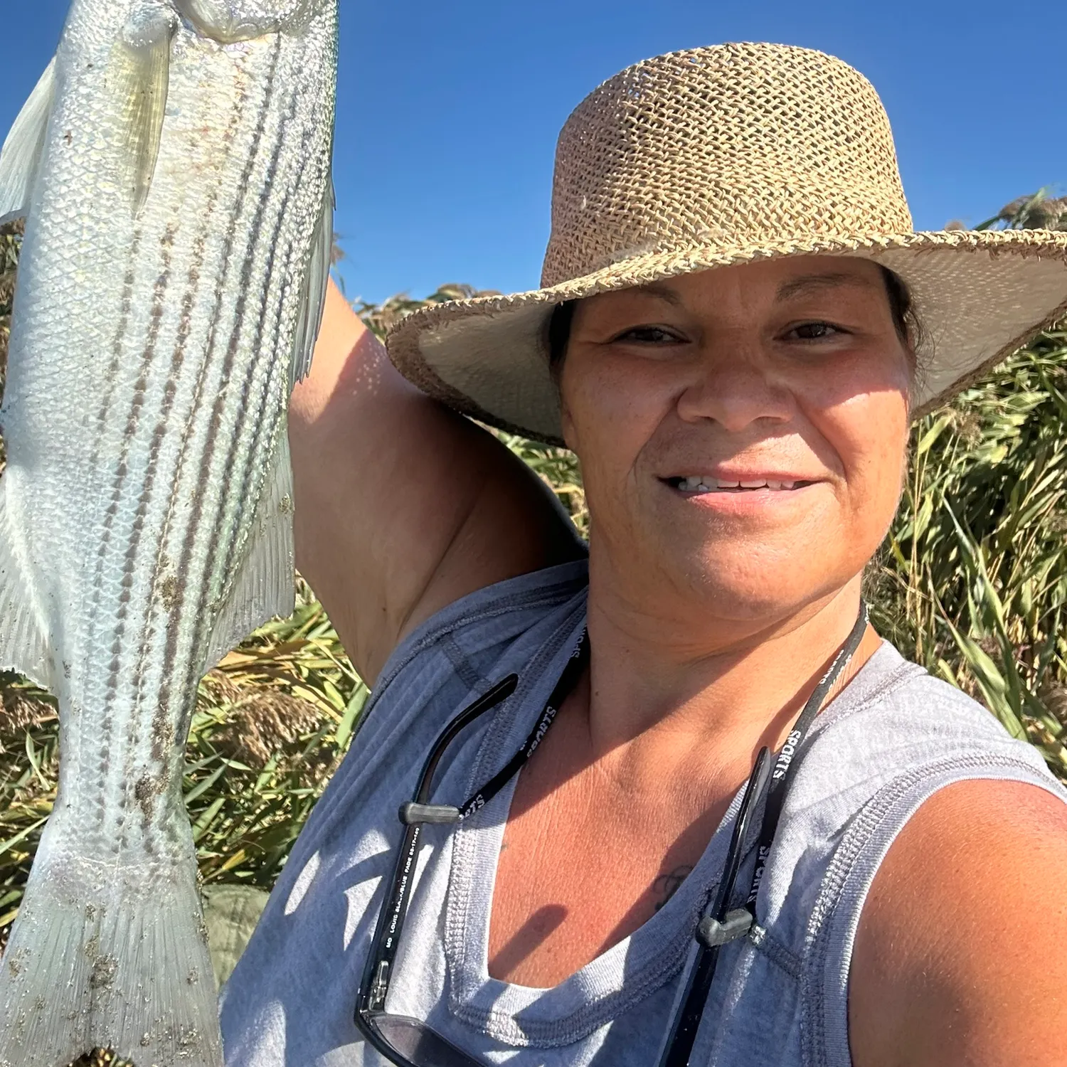 The most recent Striped bass catches on Fishbrain