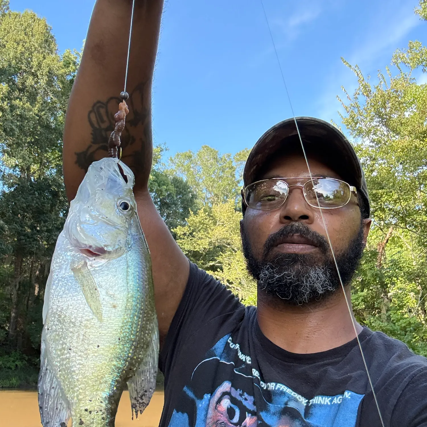 White crappie caught on Fishbrain