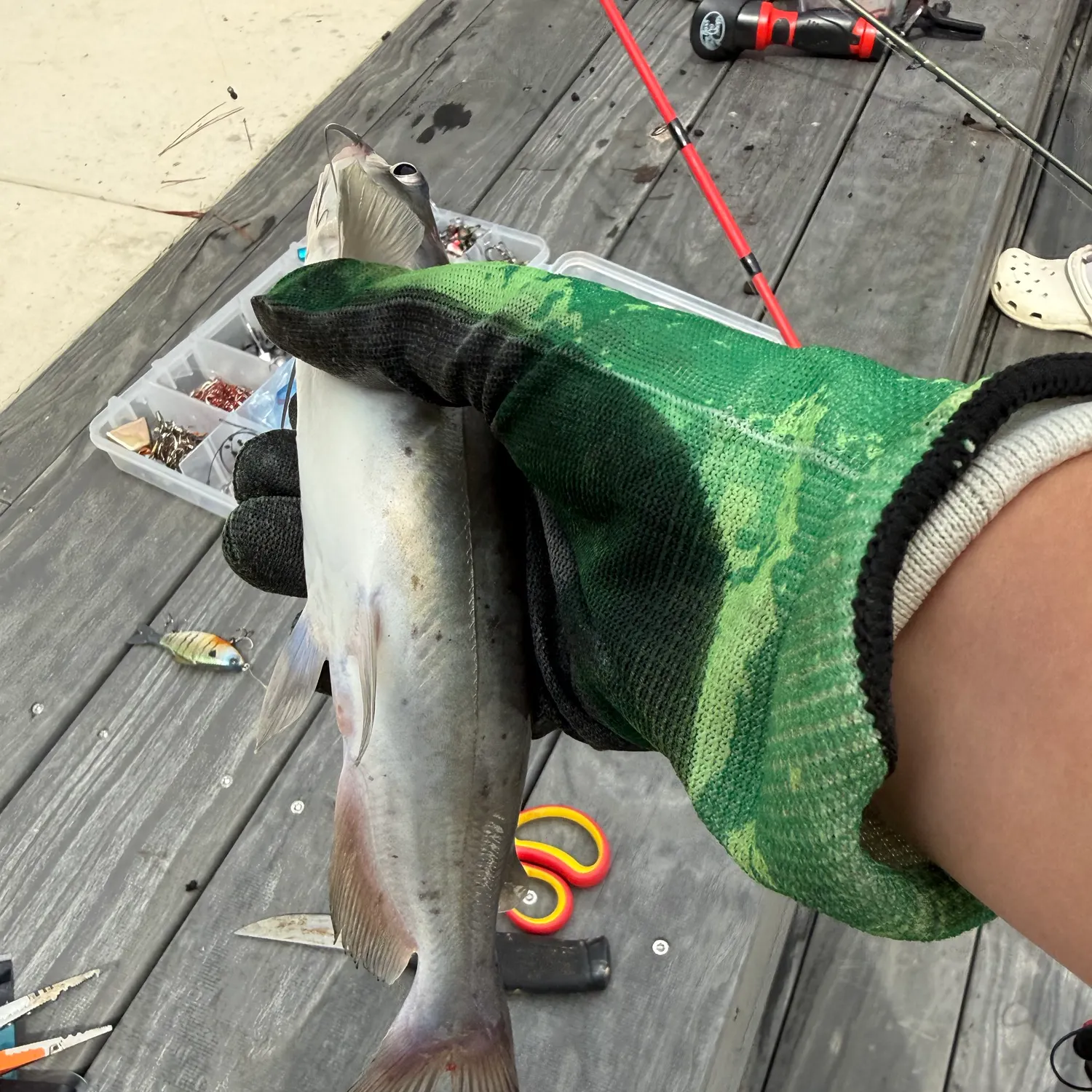 catch