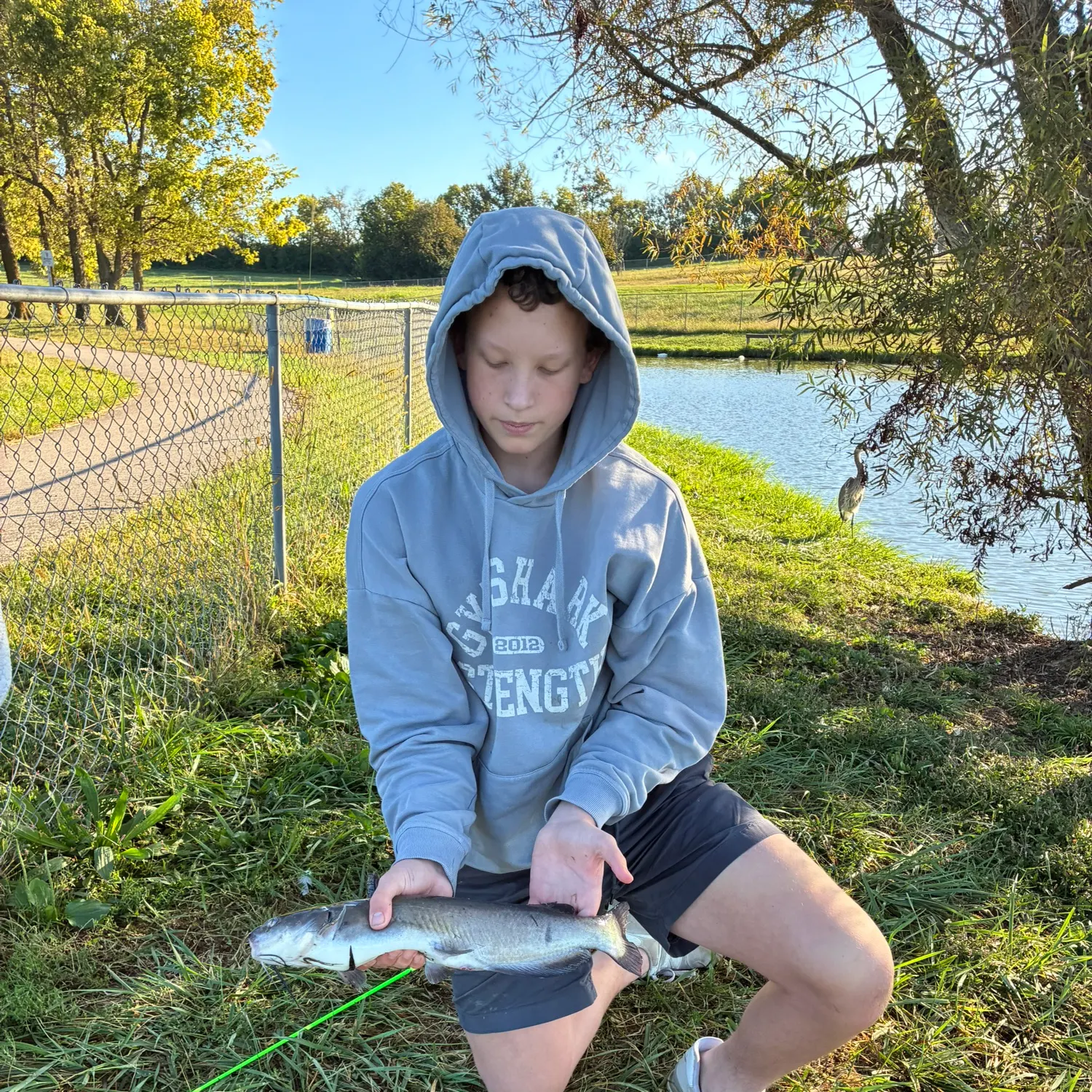 Channel catfish caught on Fishbrain