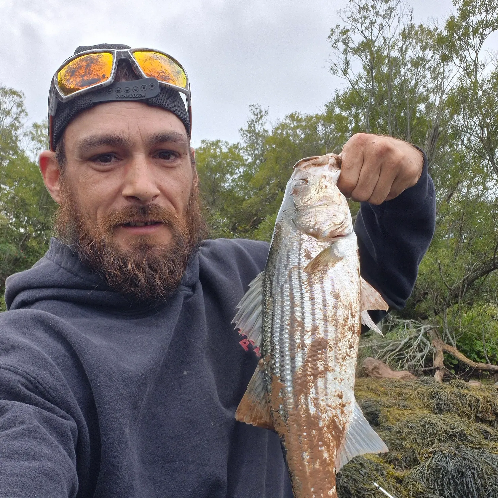 Striped bass caught on Fishbrain
