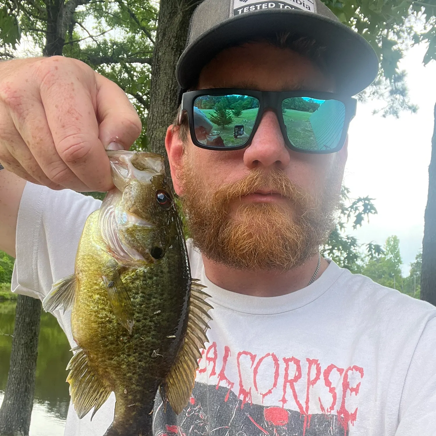 The most recent Warmouth catches on Fishbrain