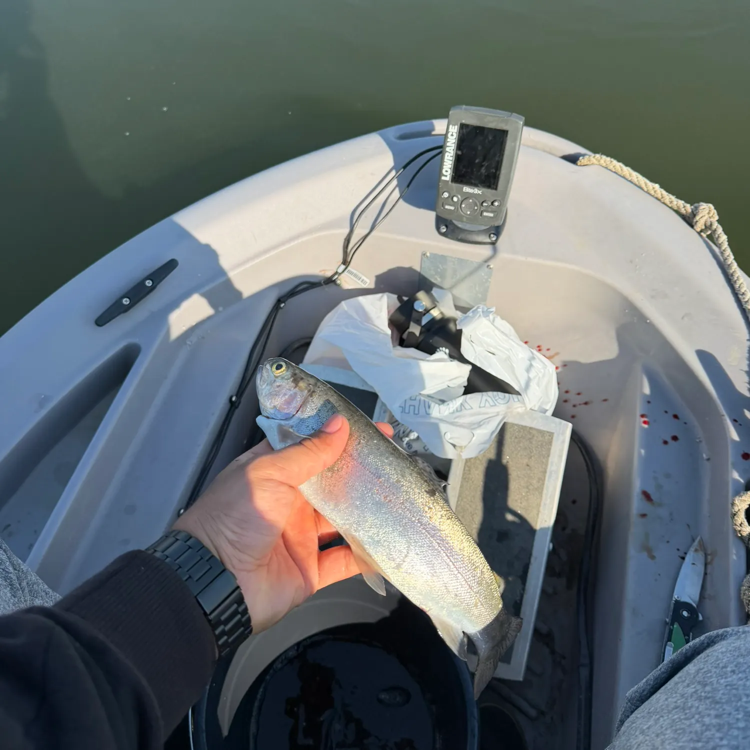Rainbow trout caught on Fishbrain