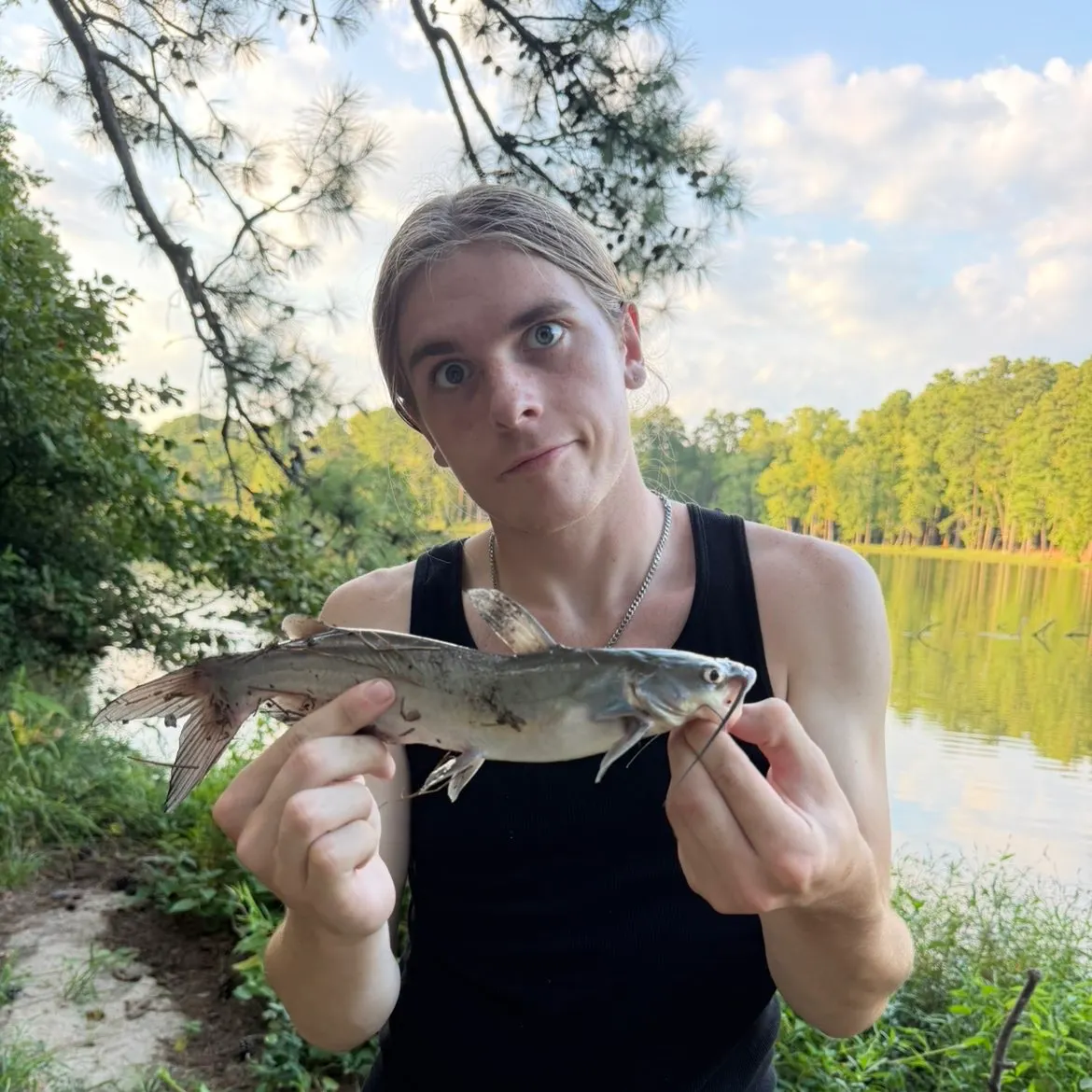 Channel catfish caught on Fishbrain