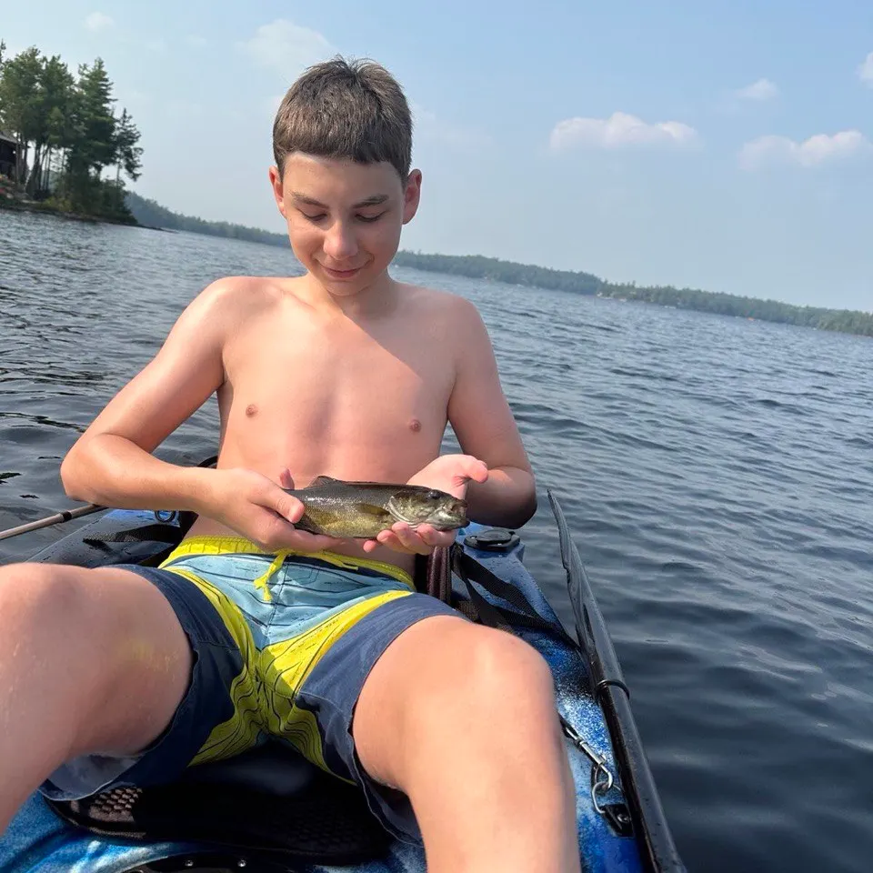 Smallmouth bass caught on Fishbrain
