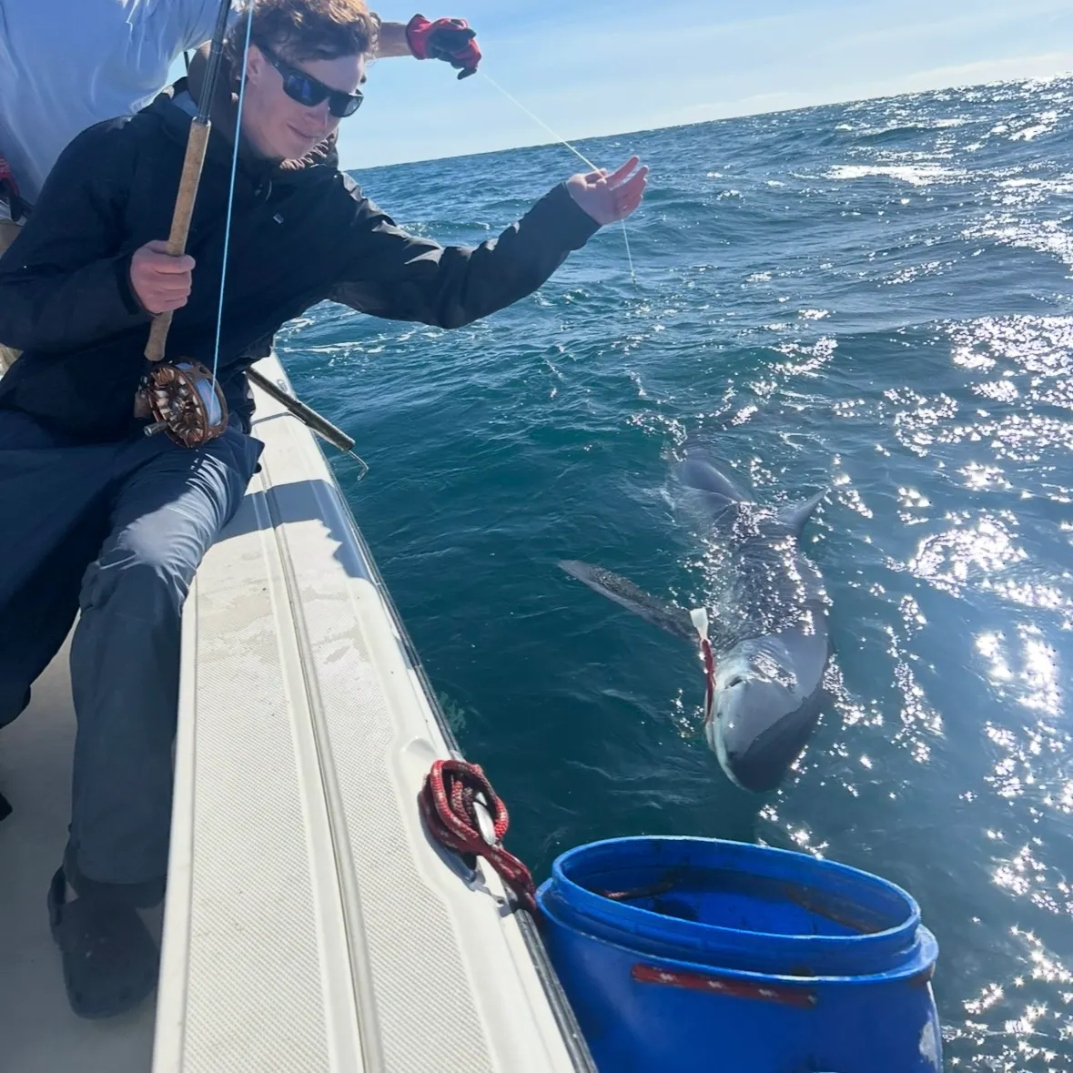 The most recent Blue shark catches on Fishbrain