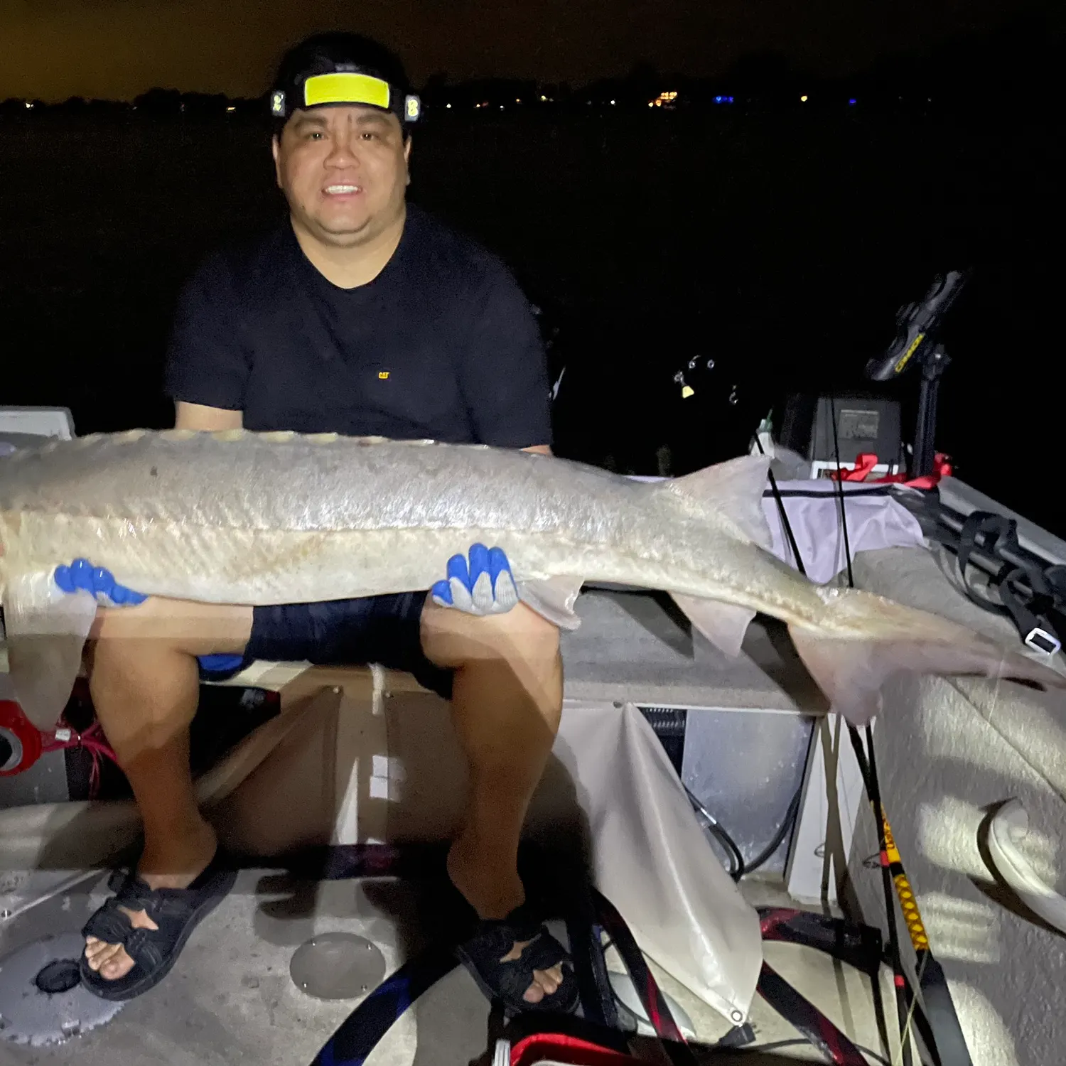 The most recent Lake sturgeon catches on Fishbrain