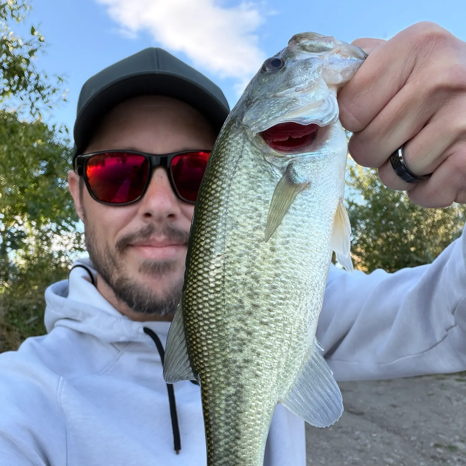 Largemouth bass caught on Fishbrain