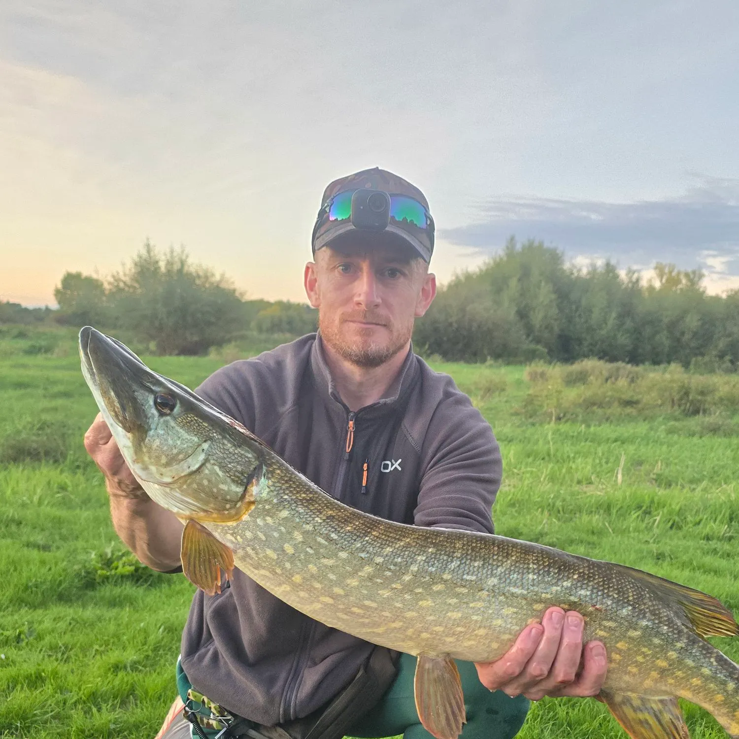 Northern pike caught on Fishbrain