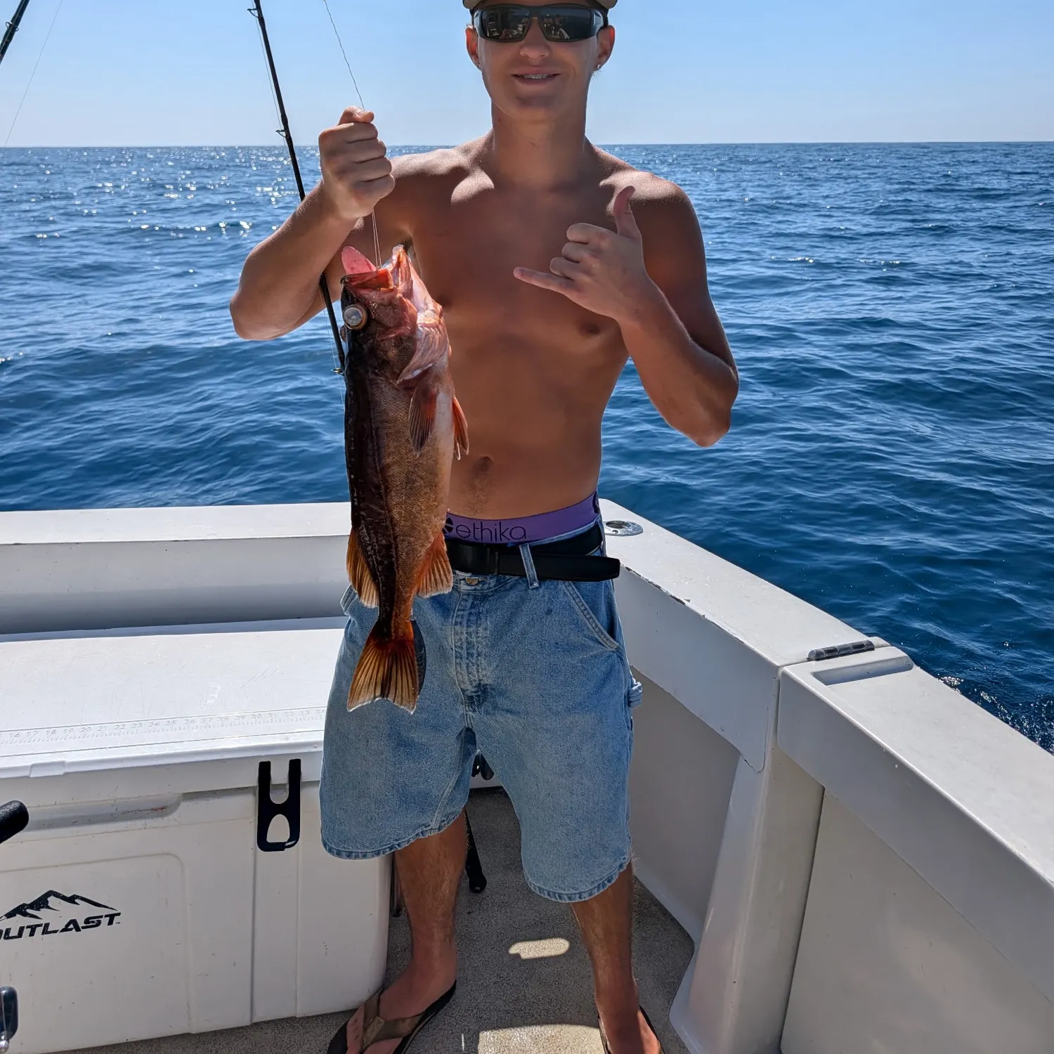 Vermilion rockfish caught on Fishbrain