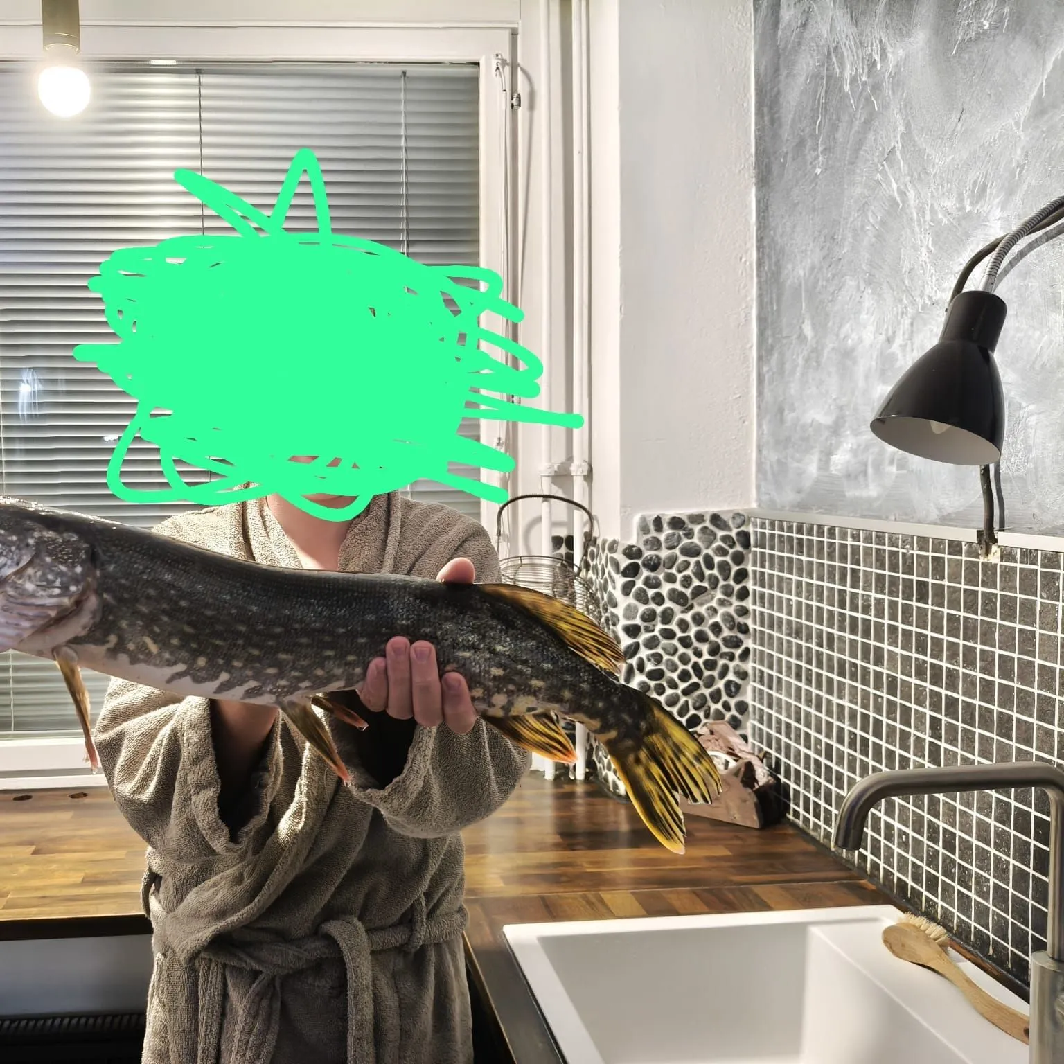 Northern pike caught on Fishbrain