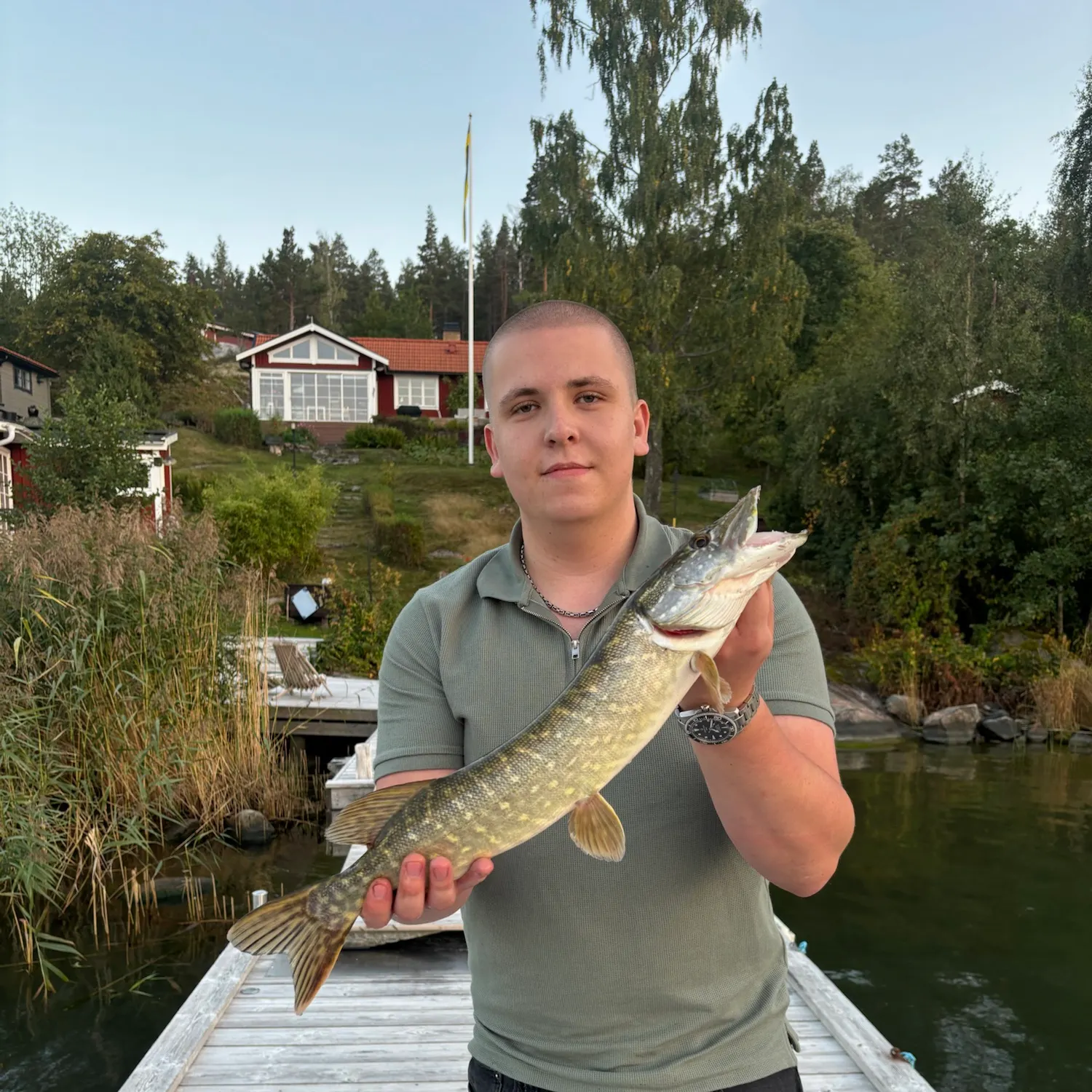 Northern pike caught on Fishbrain