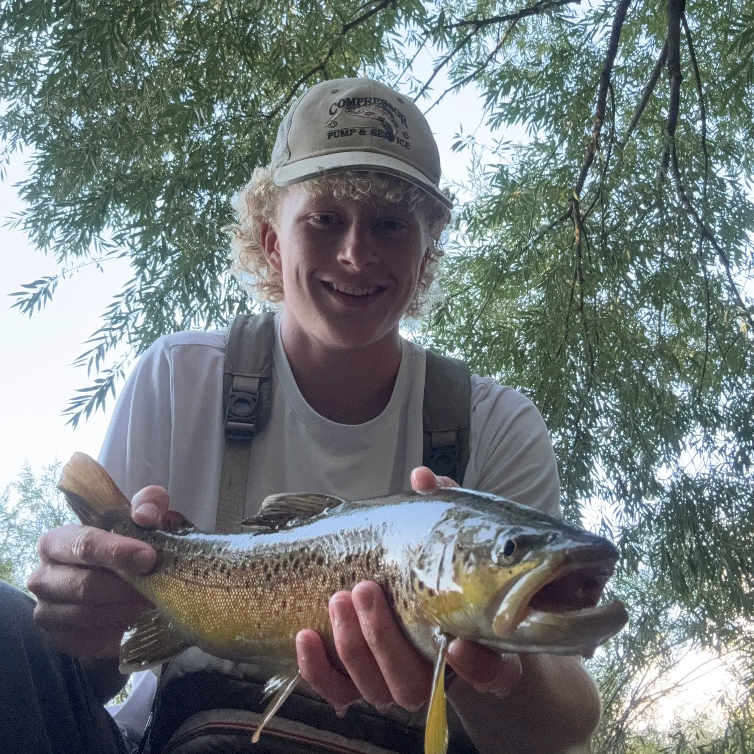 Brown trout caught on Fishbrain