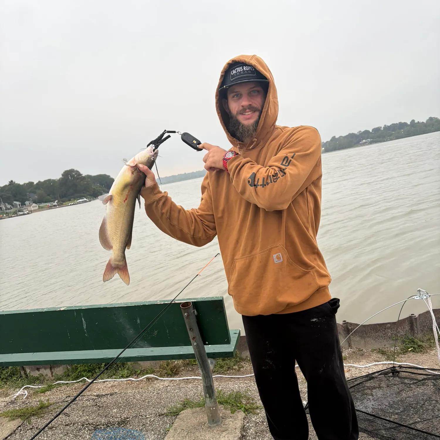 Channel catfish caught on Fishbrain