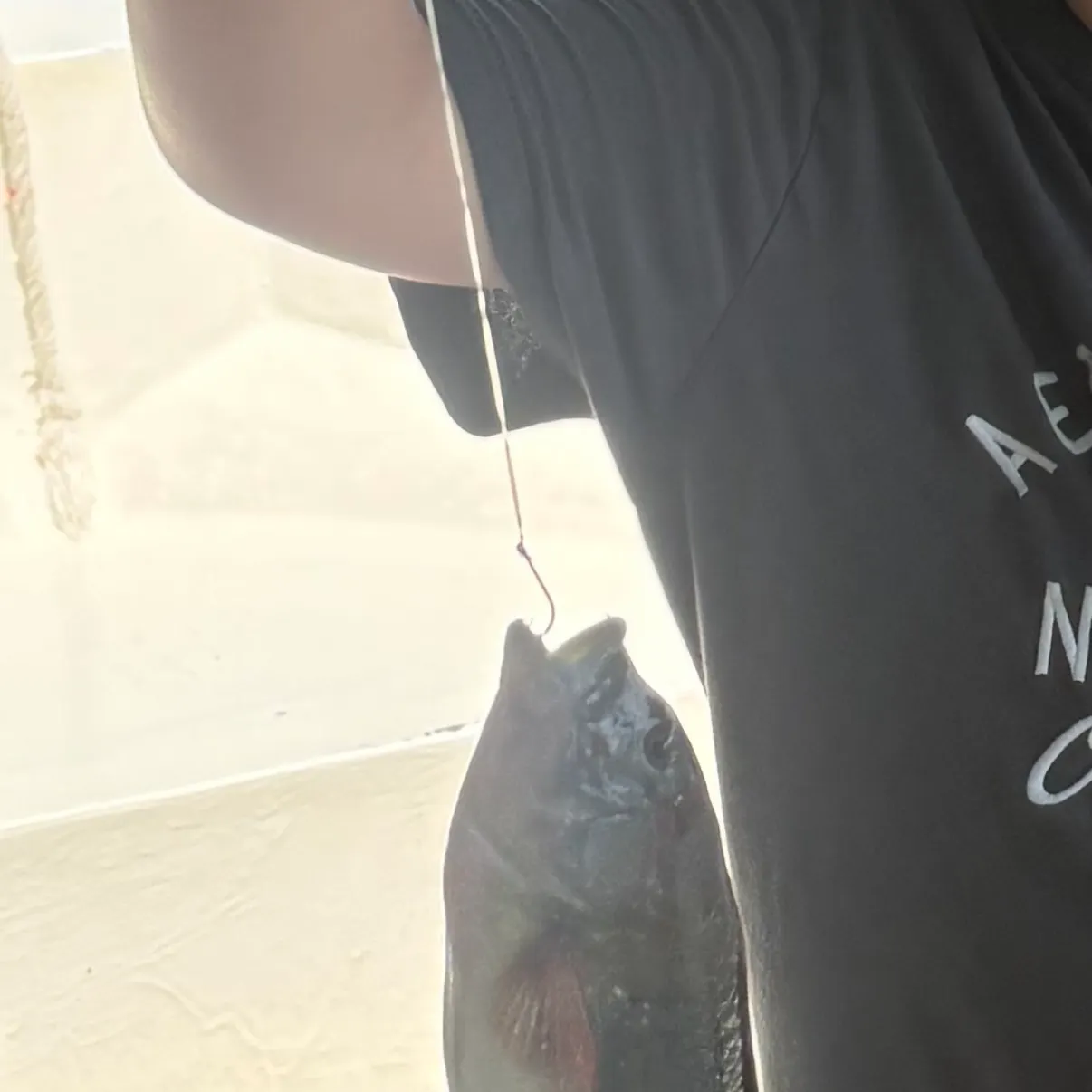 The most recent Pacific cubera snapper catches on Fishbrain