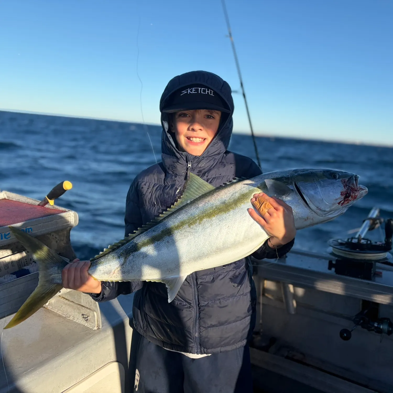 The most recent Southern yellowtail amberjack catches on Fishbrain