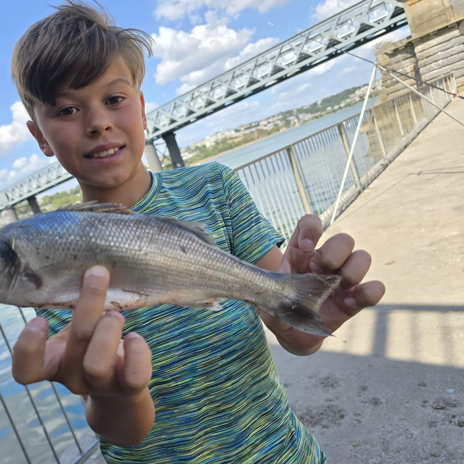 European seabass caught on Fishbrain