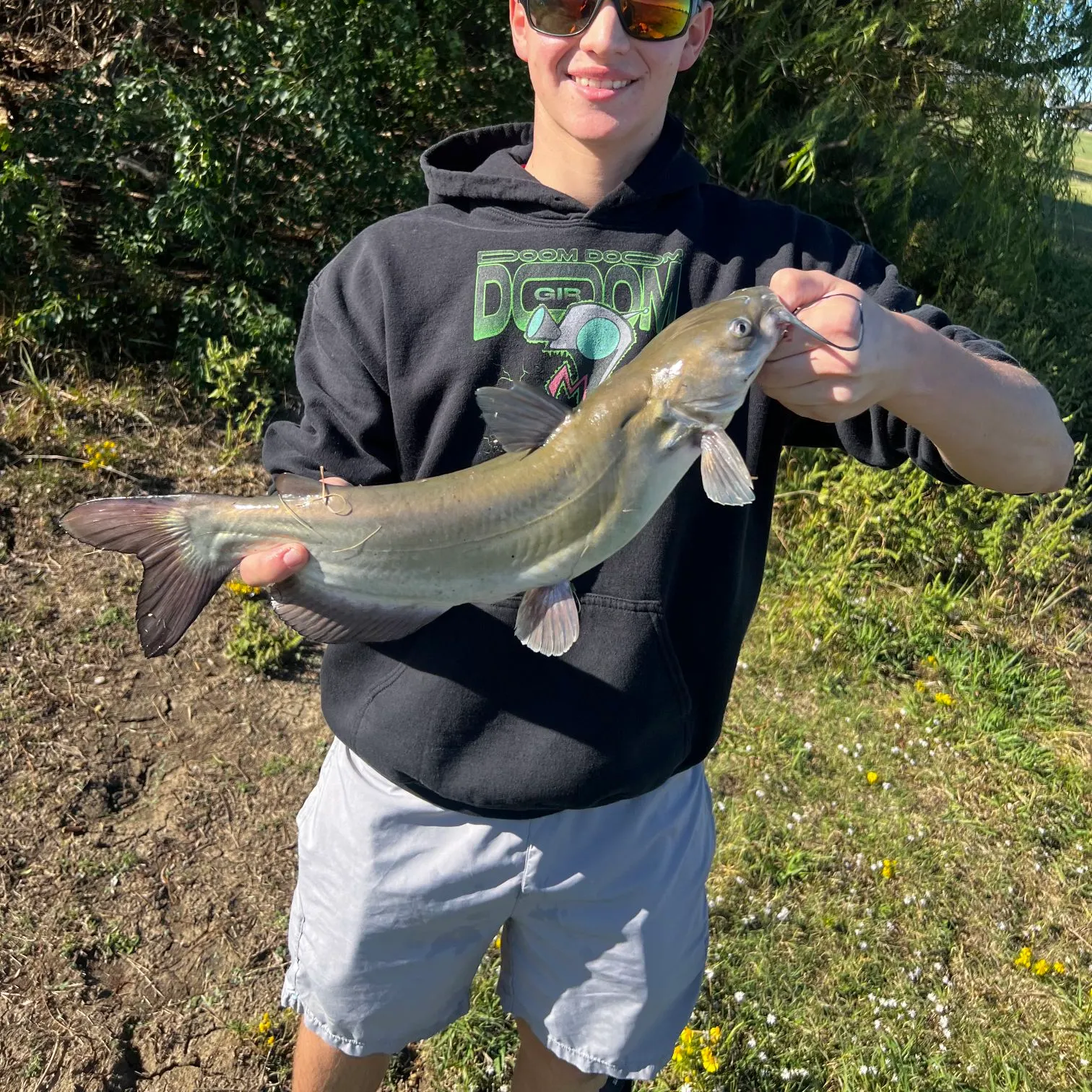 Blue catfish caught on Fishbrain