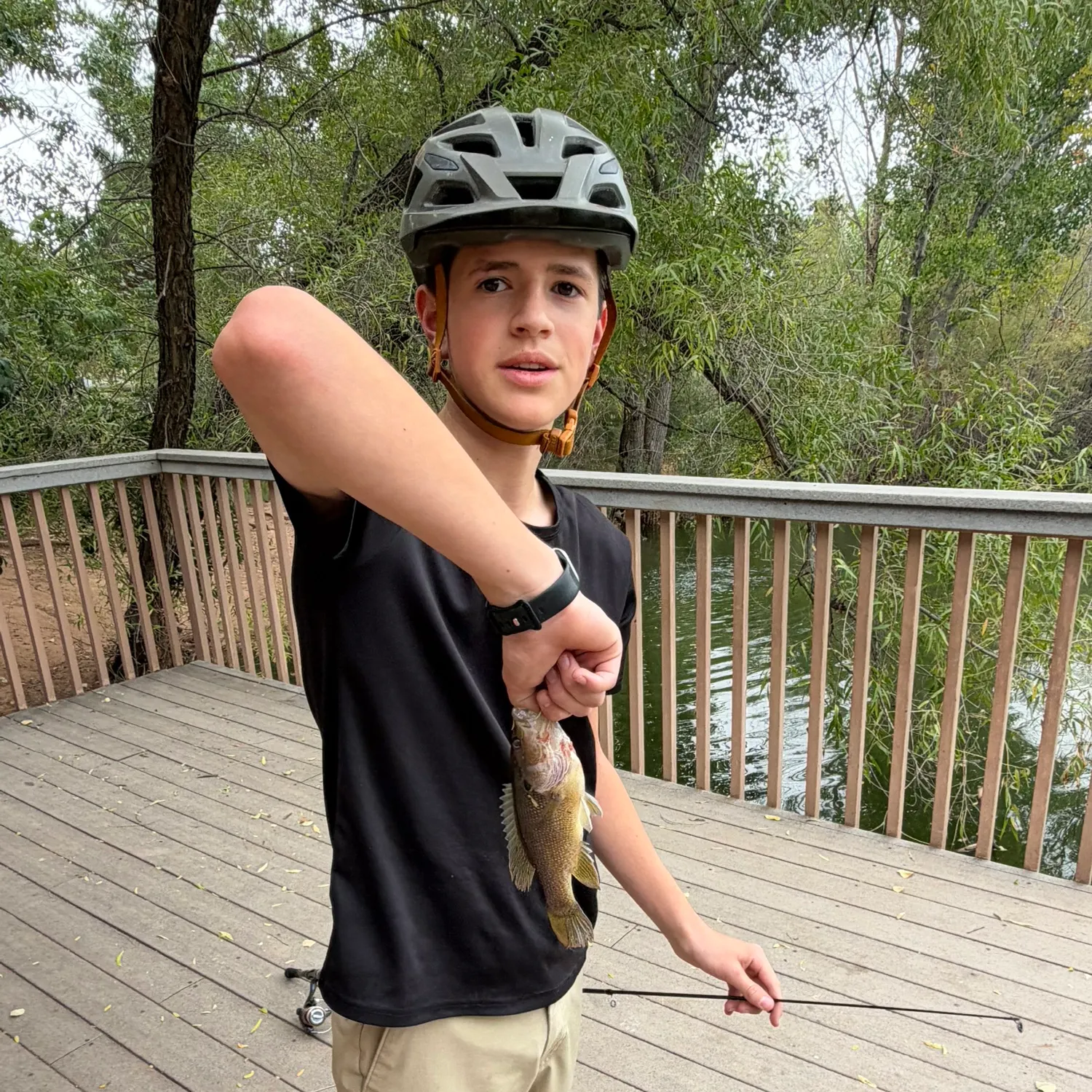 The most recent Spotted sunfish catches on Fishbrain