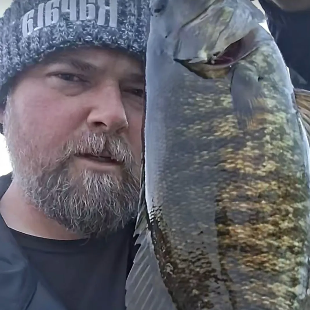 Smallmouth bass caught on Fishbrain
