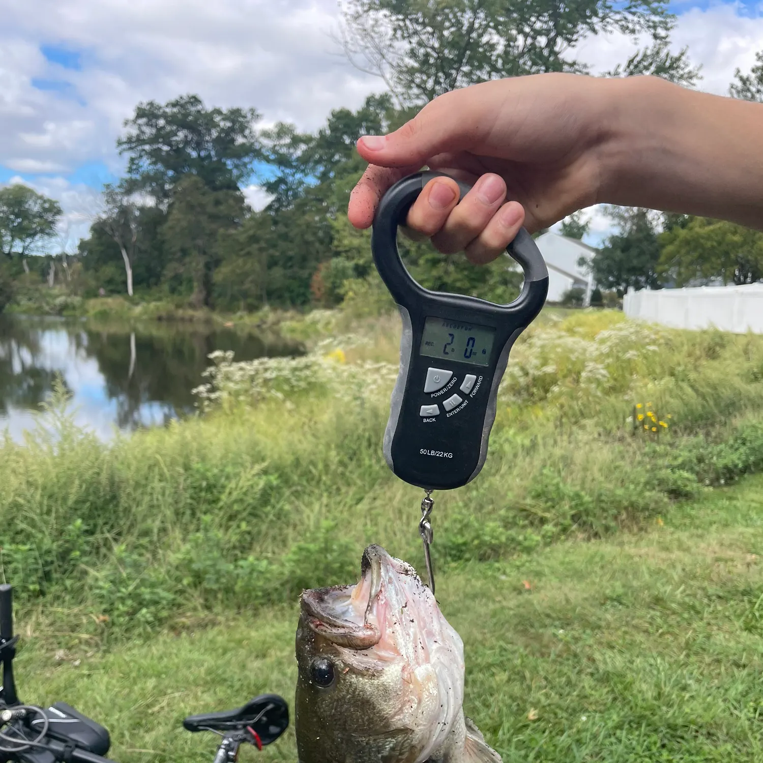 Largemouth bass caught on Fishbrain