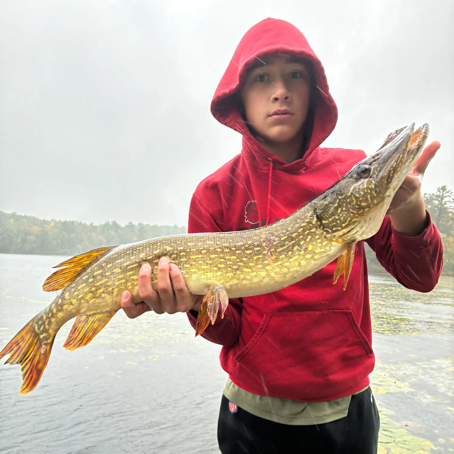 Northern pike caught on Fishbrain