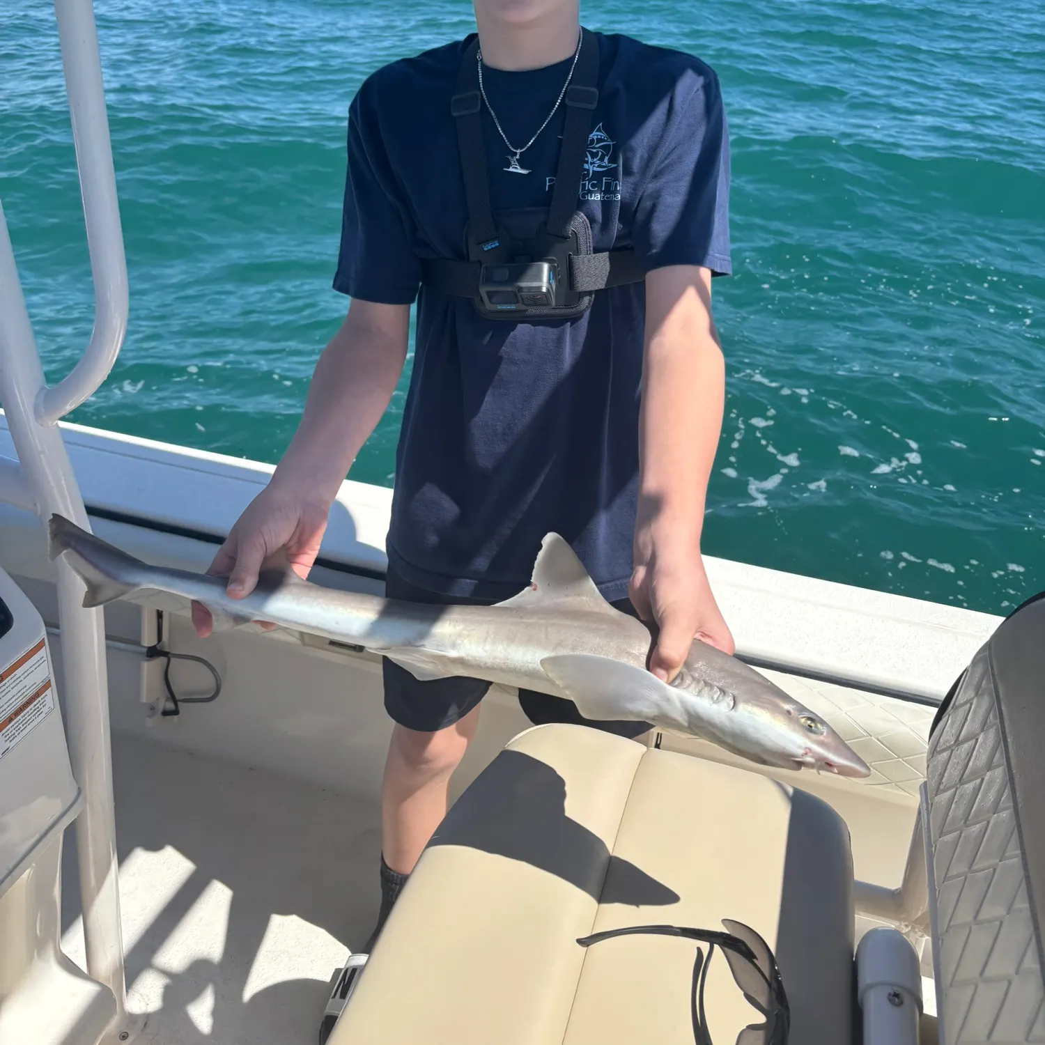 The most recent Atlantic sharpnose shark catches on Fishbrain