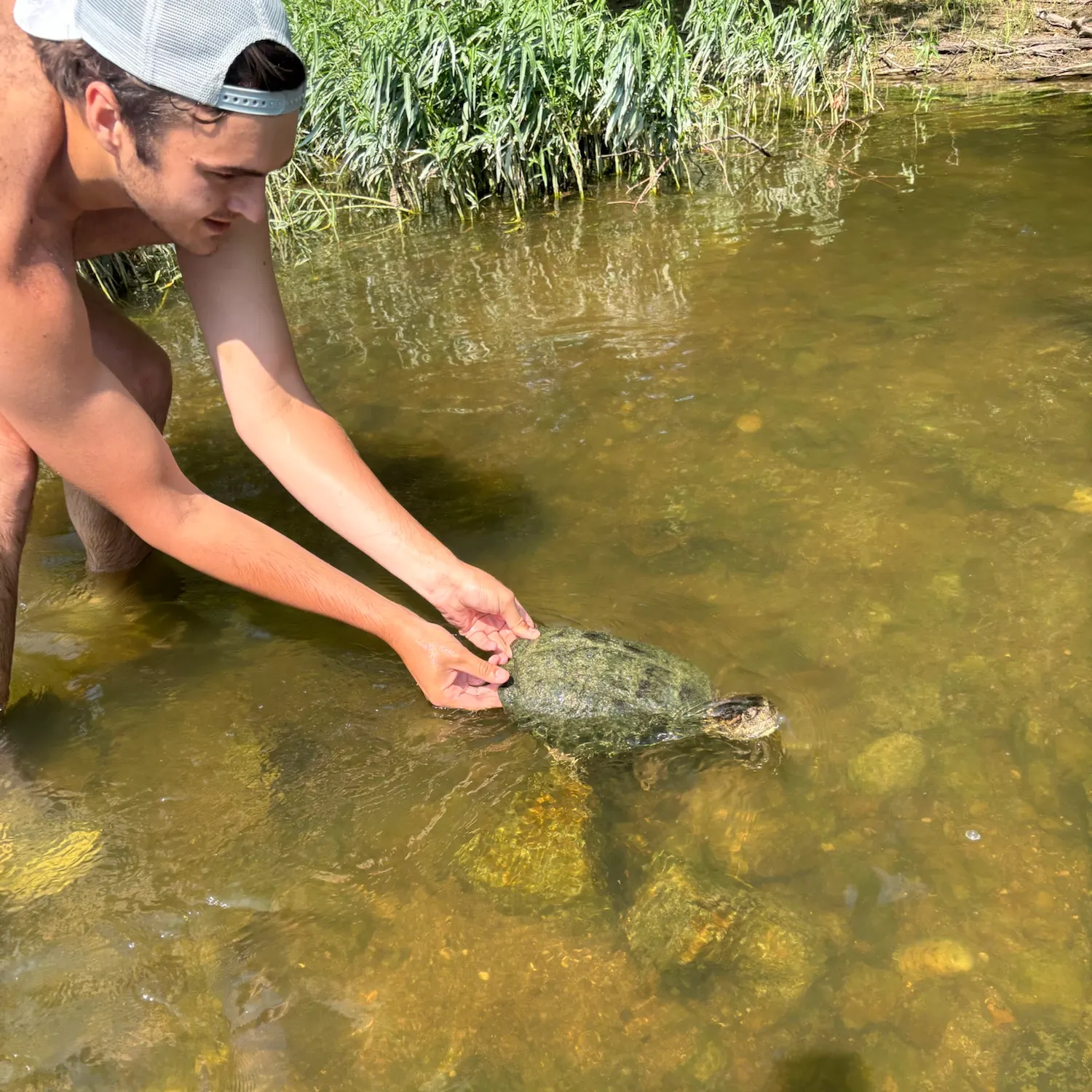catch