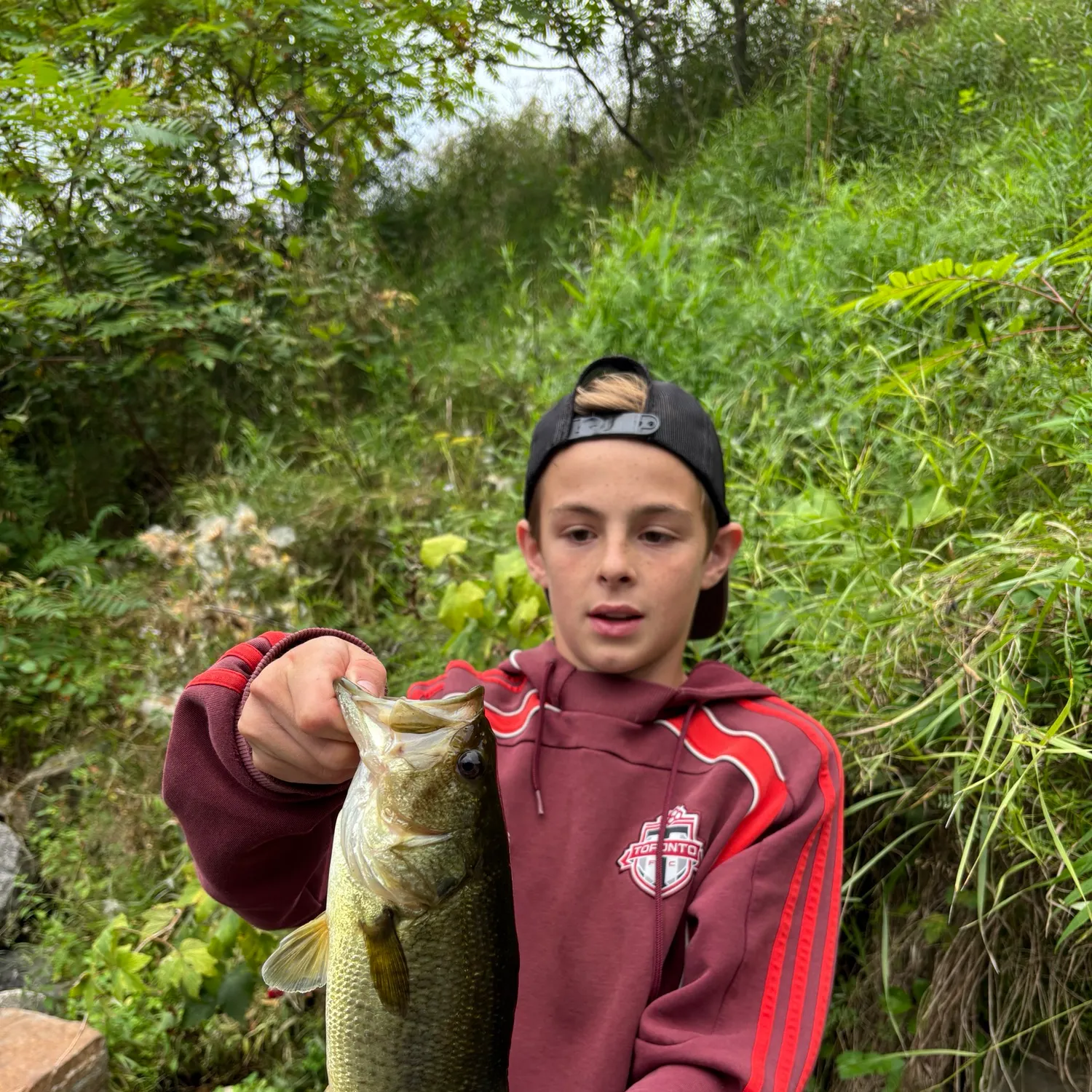Largemouth bass caught on Fishbrain