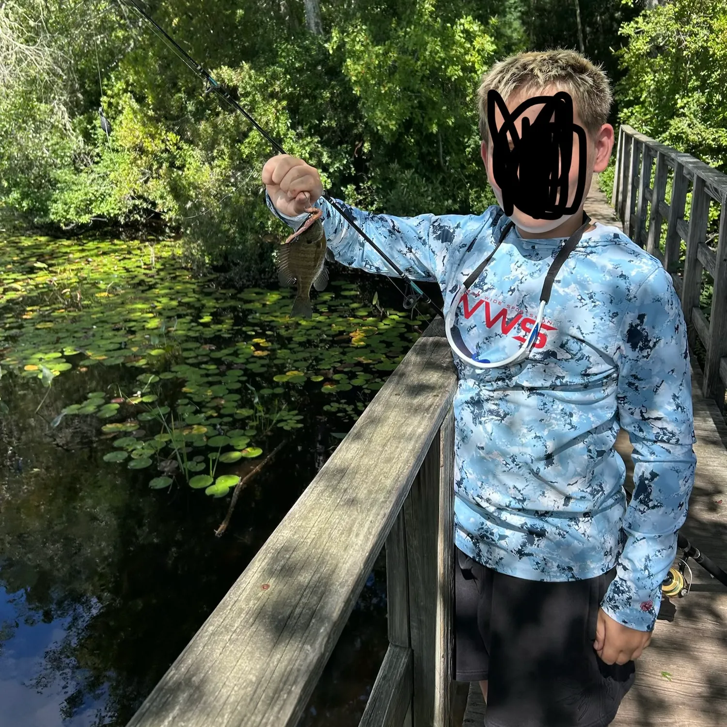 Bluegill caught on Fishbrain
