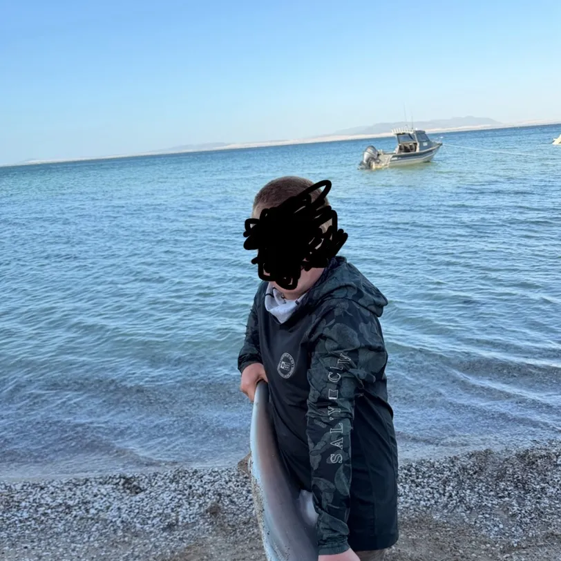 The most recent Dusky shark catches on Fishbrain