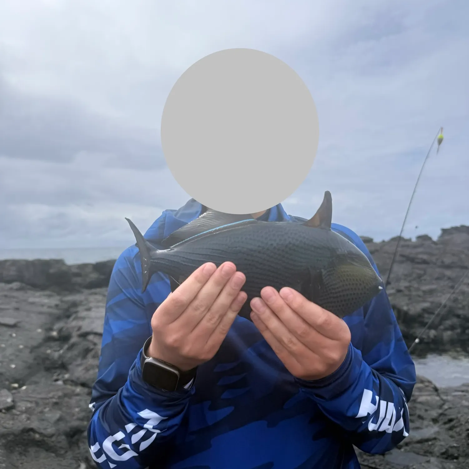 The most recent Indian triggerfish catches on Fishbrain