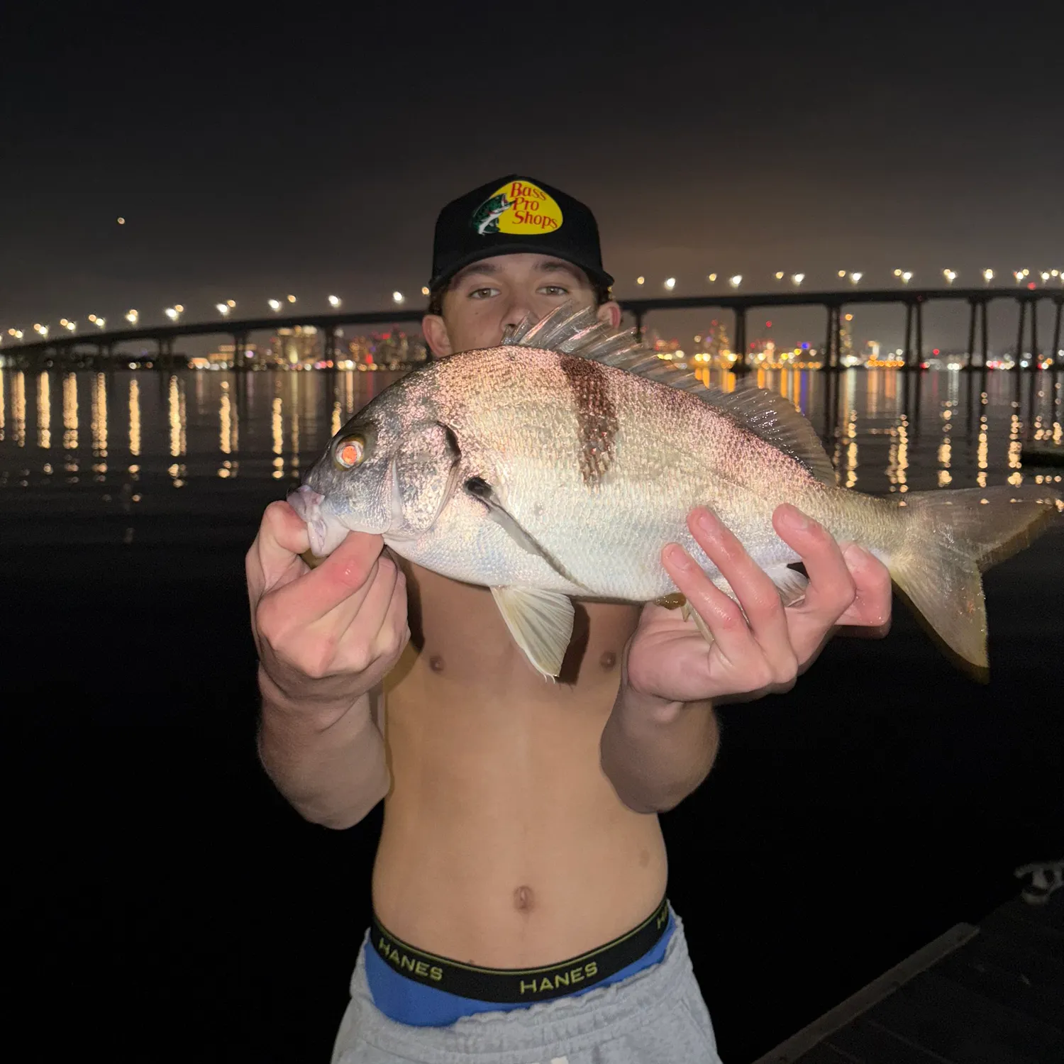 The most recent Sargo catches on Fishbrain