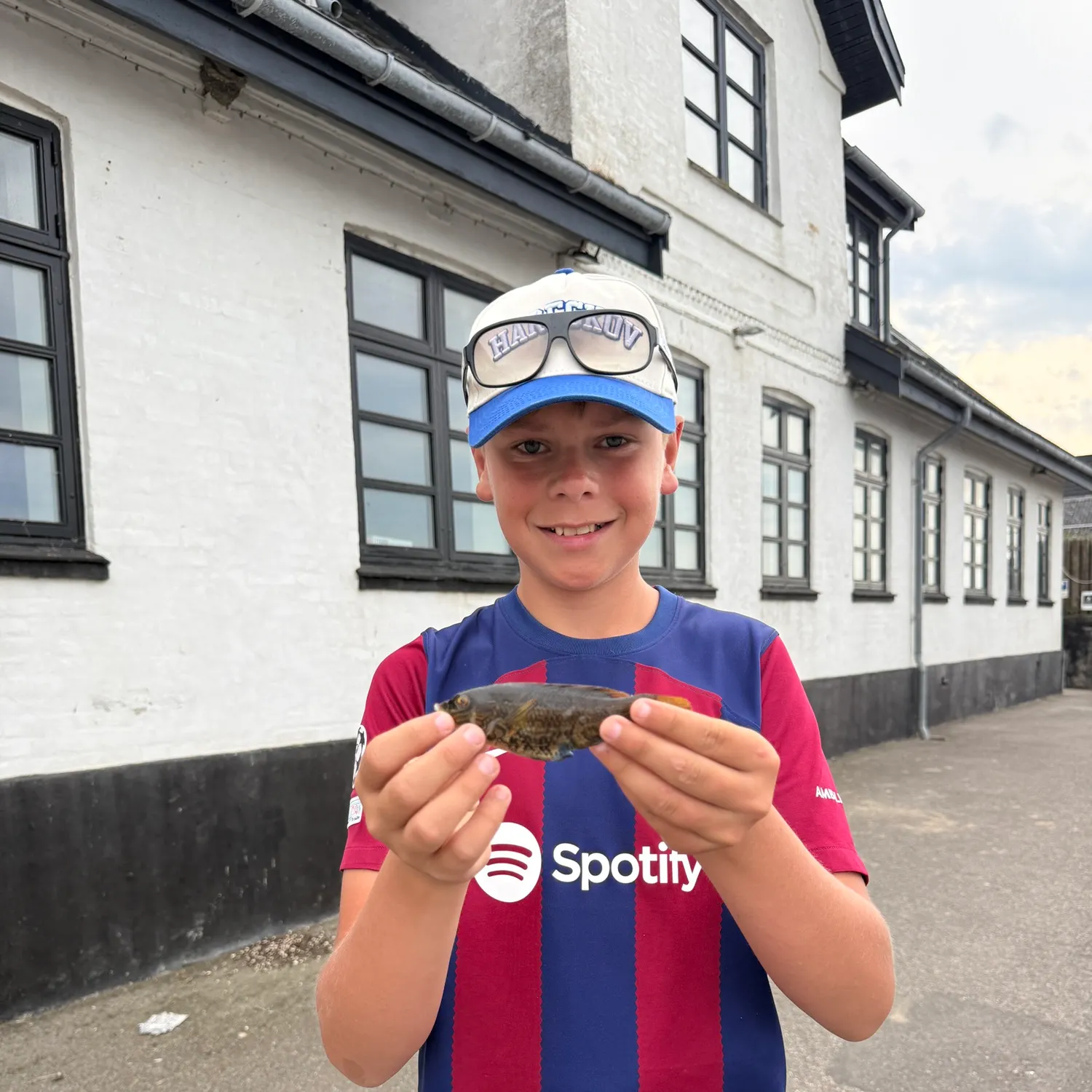 The most recent Corkwing wrasse catches on Fishbrain