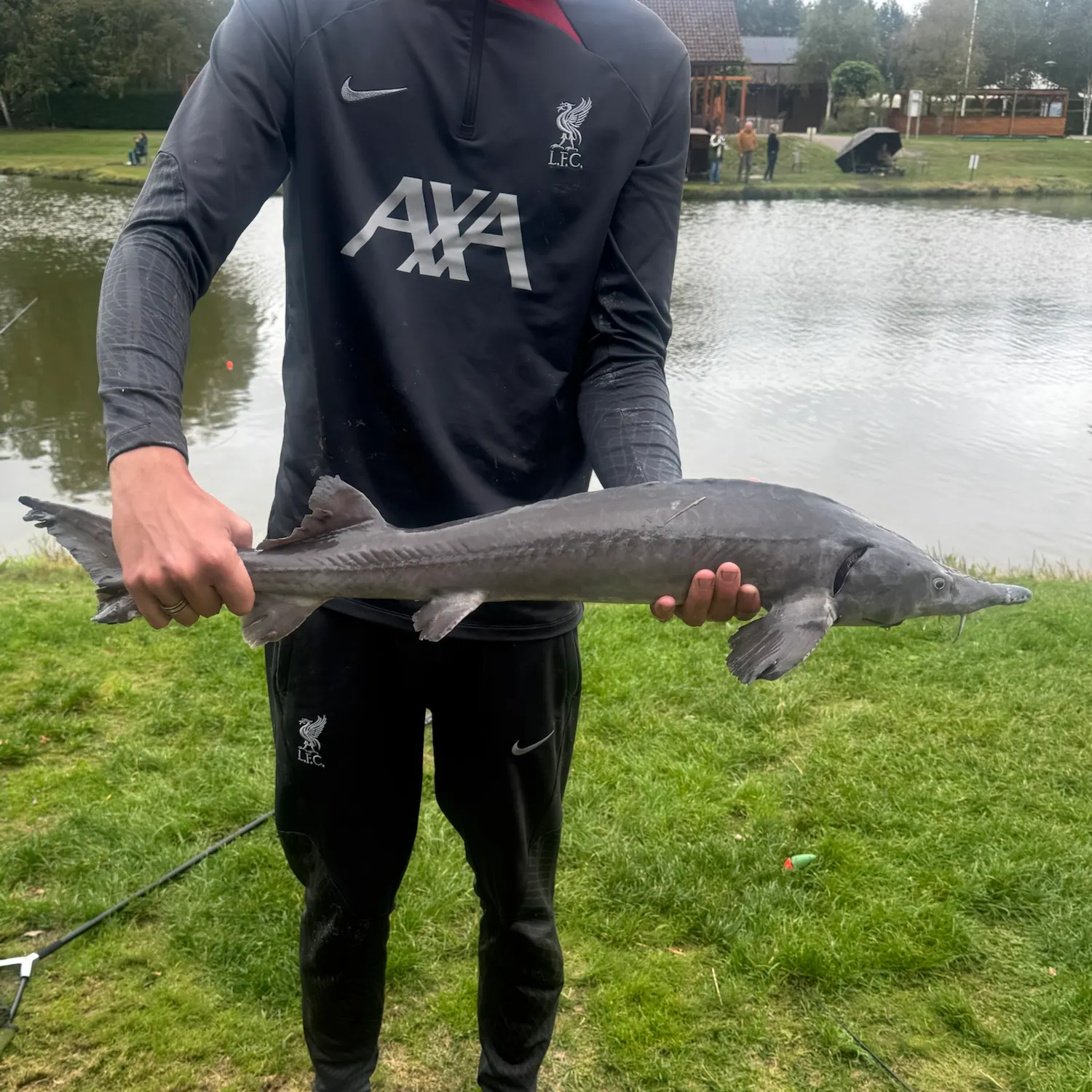 The most recent Siberian sturgeon catches on Fishbrain