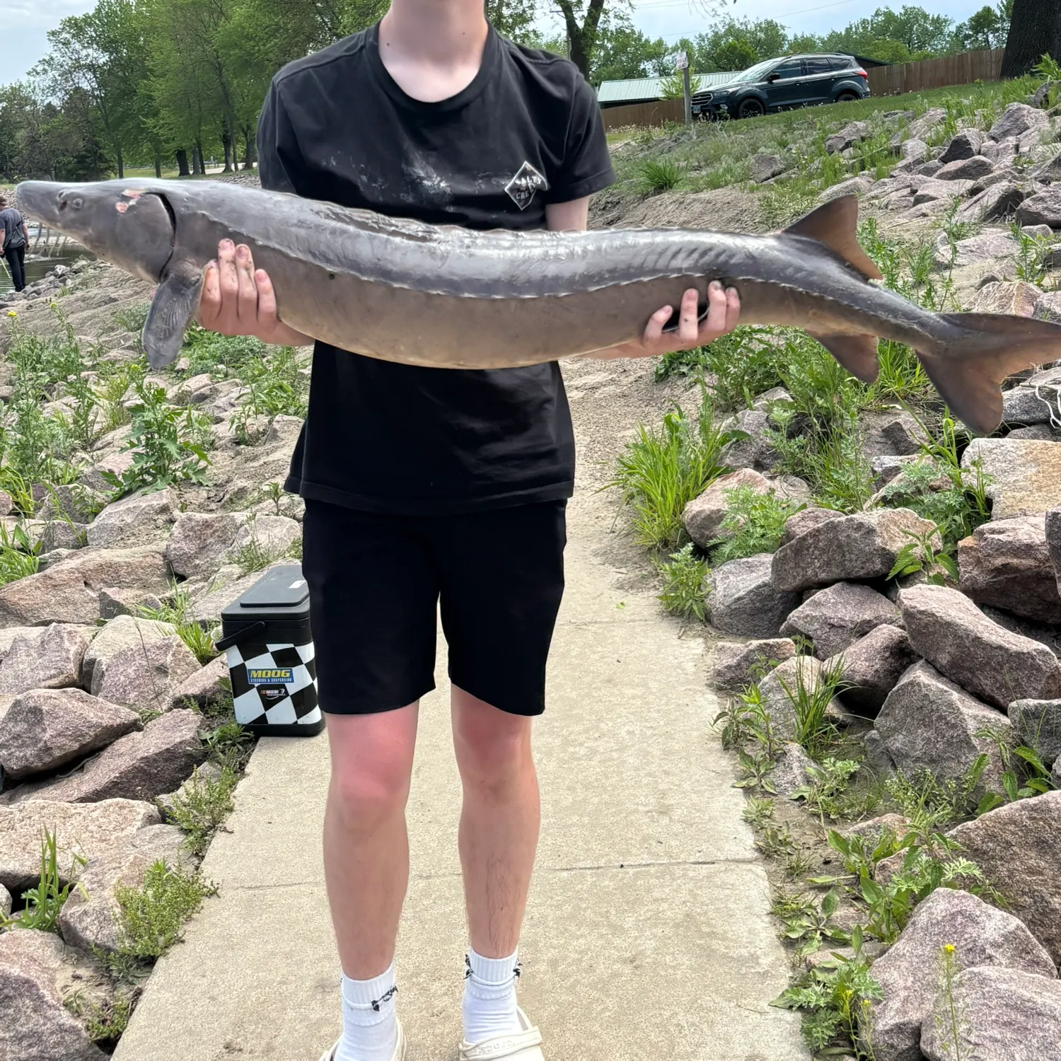 catch