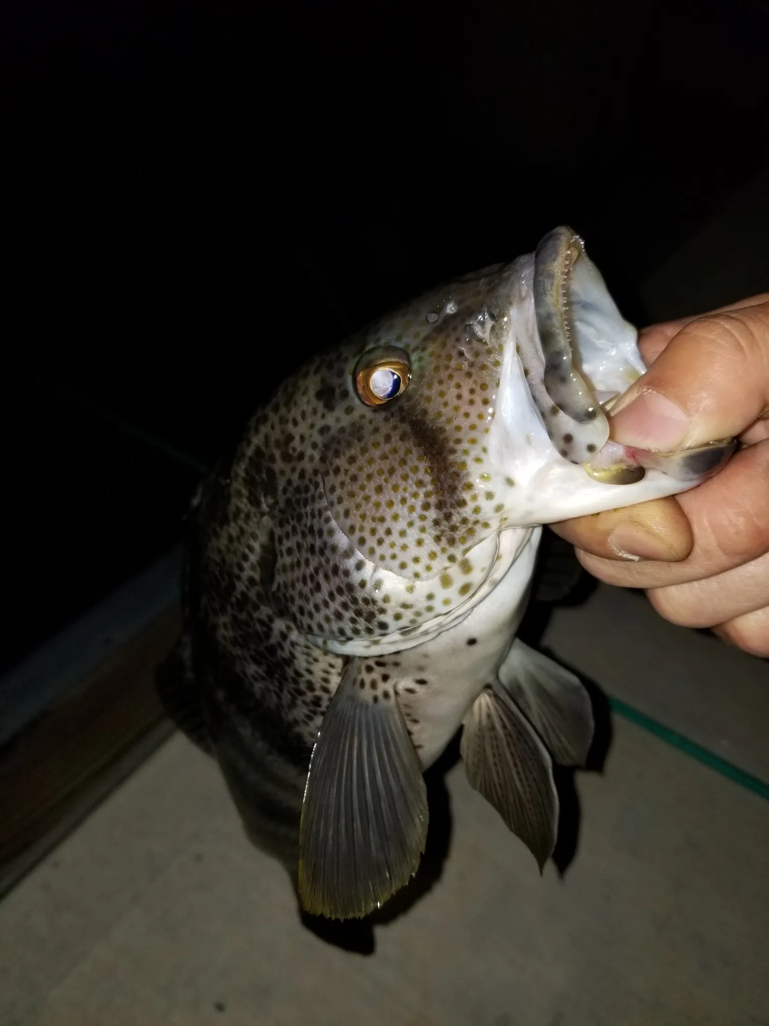 Post image from 96thcast