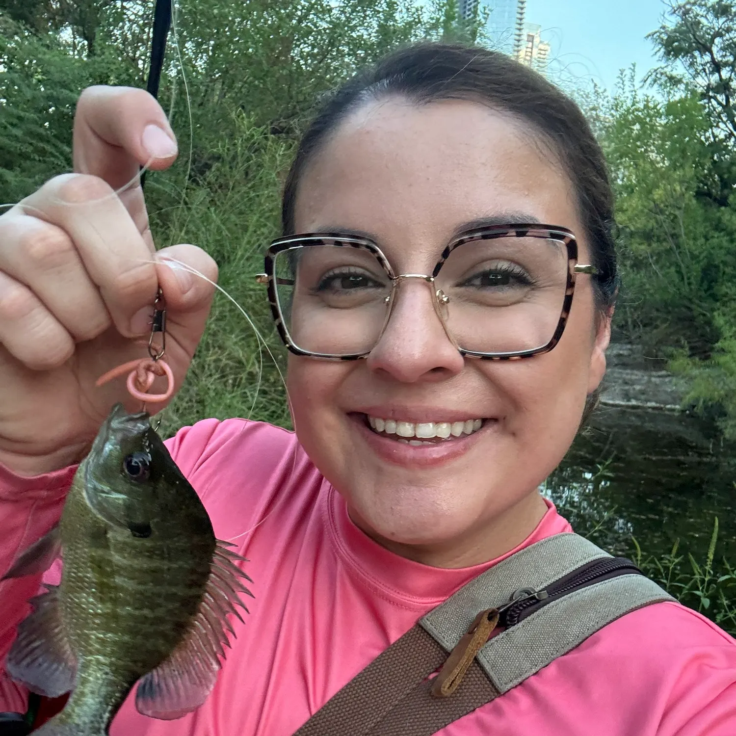 Bluegill caught on Fishbrain