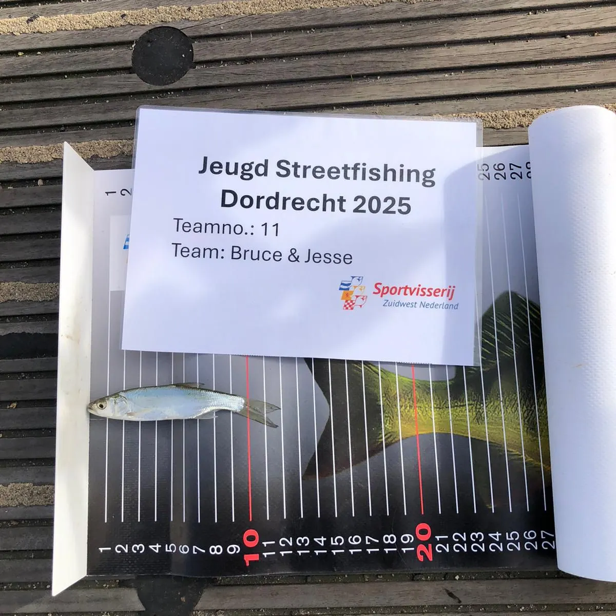 The most recent Asp catches on Fishbrain