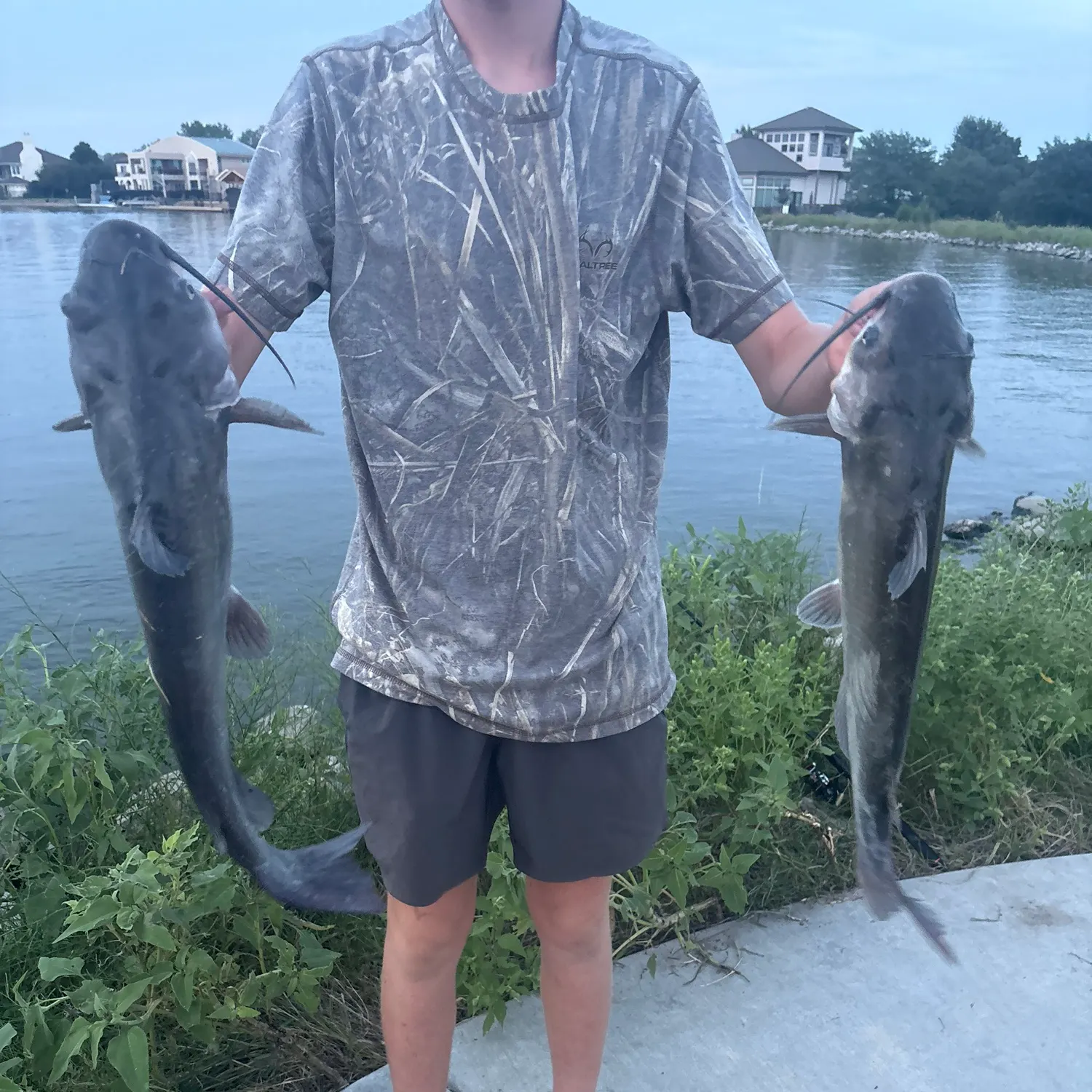 Channel catfish caught on Fishbrain